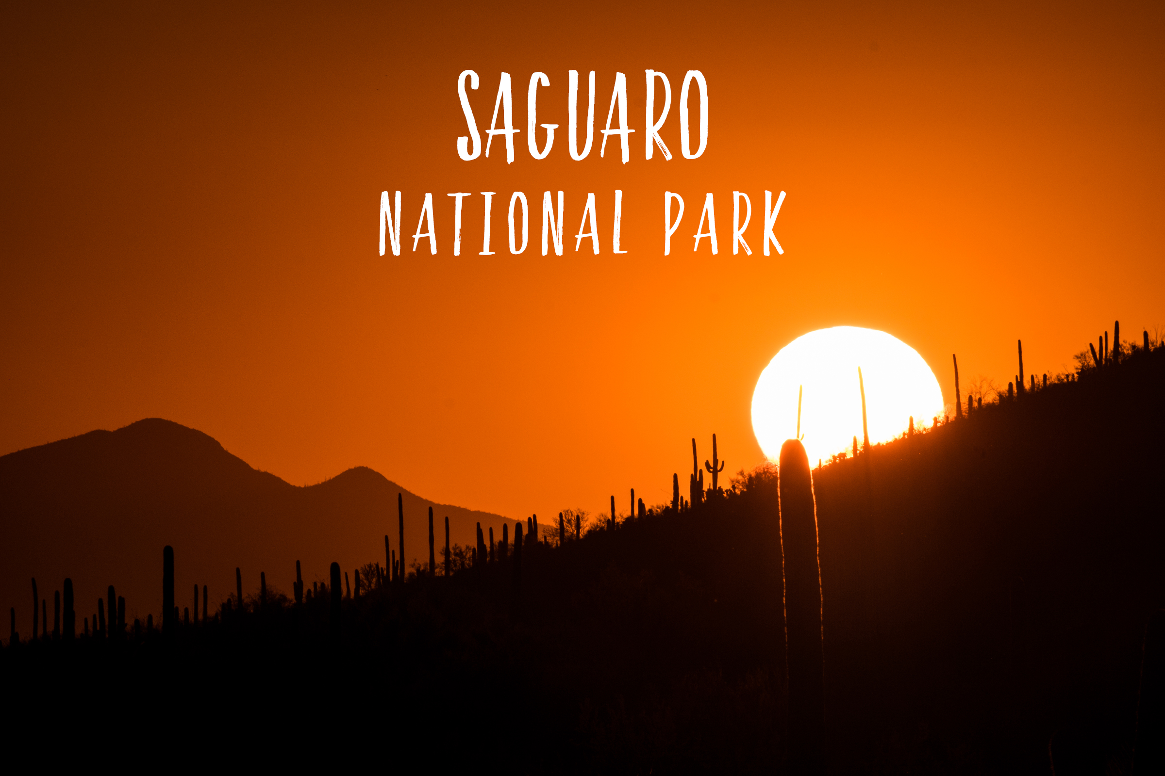 Saguaro National Park | Park 16/59