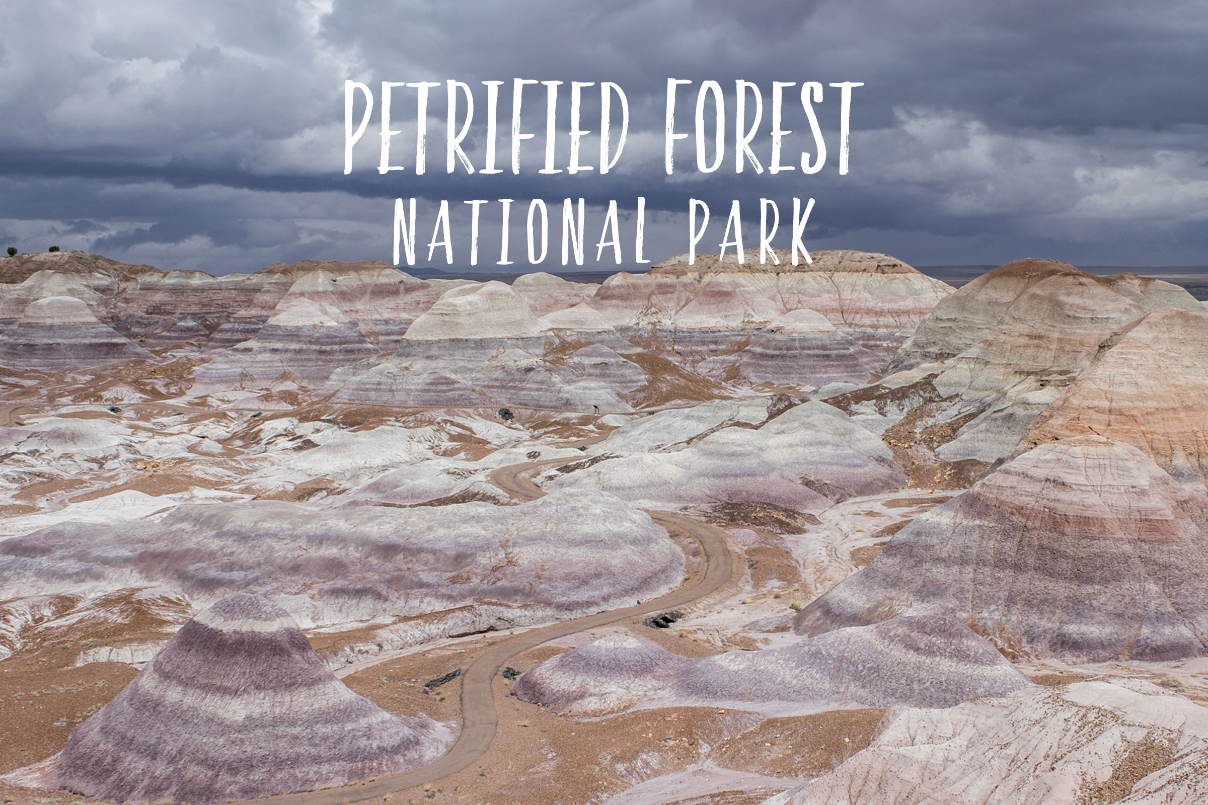 Park 17/59: Petrified Forest National Park in Arizona.