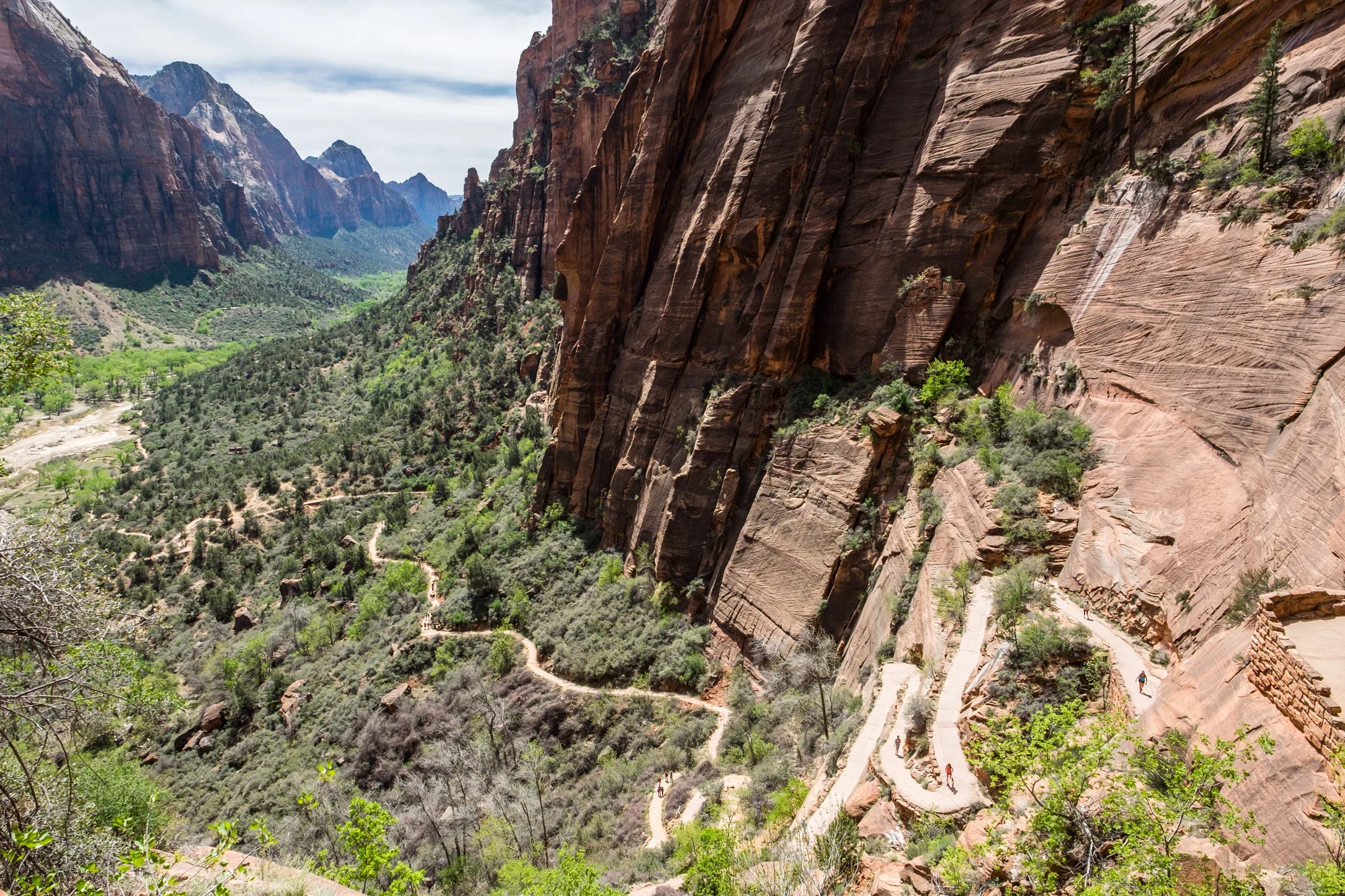 A peer down the Western Rim Trail en route to Angel's Landing and Scout's Lookout provides views of switchbacks zig-zagging down to the valley floor. 