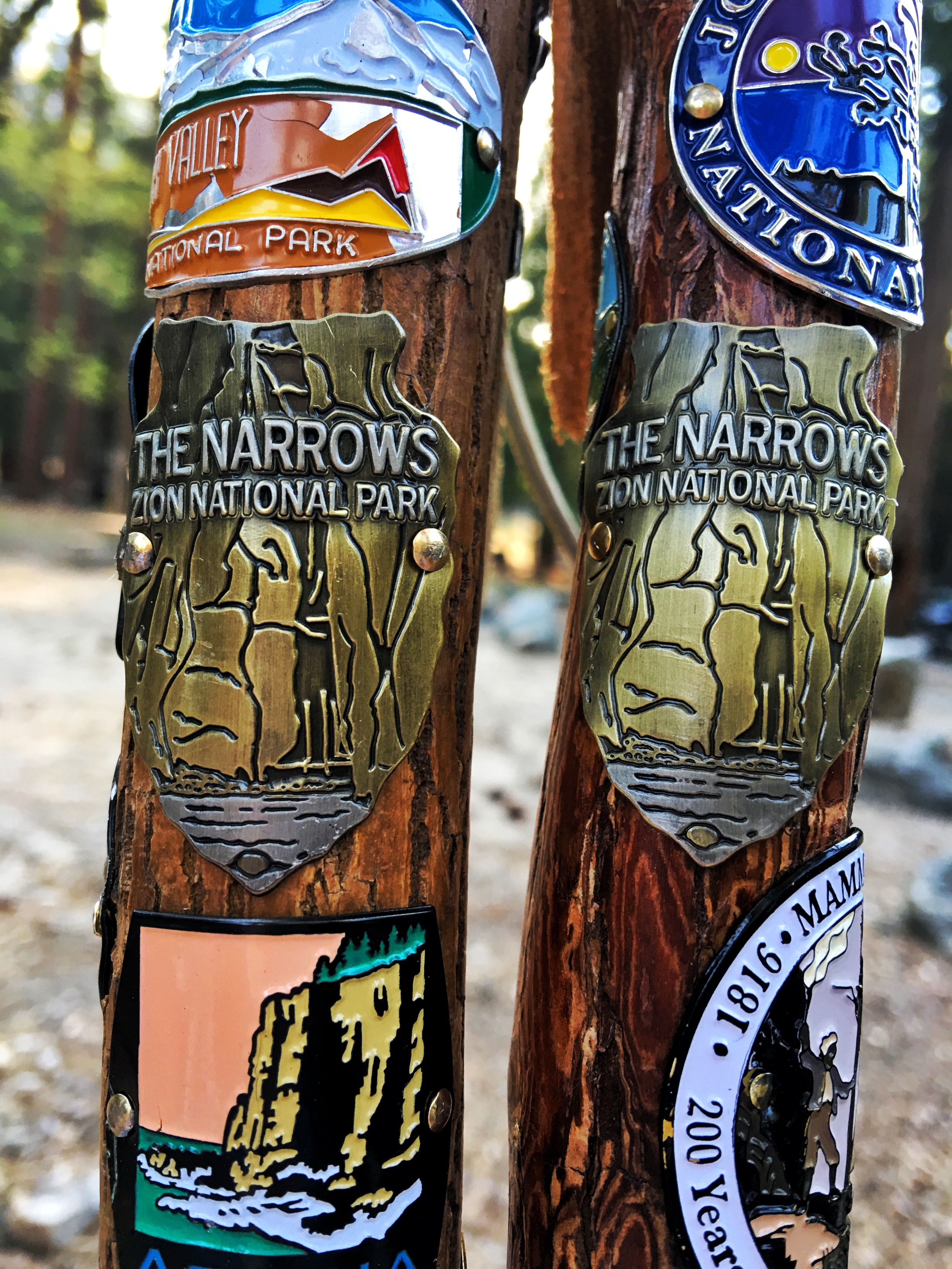  Hiking stick medallions from Zion National Park in southern Utah.&nbsp; 