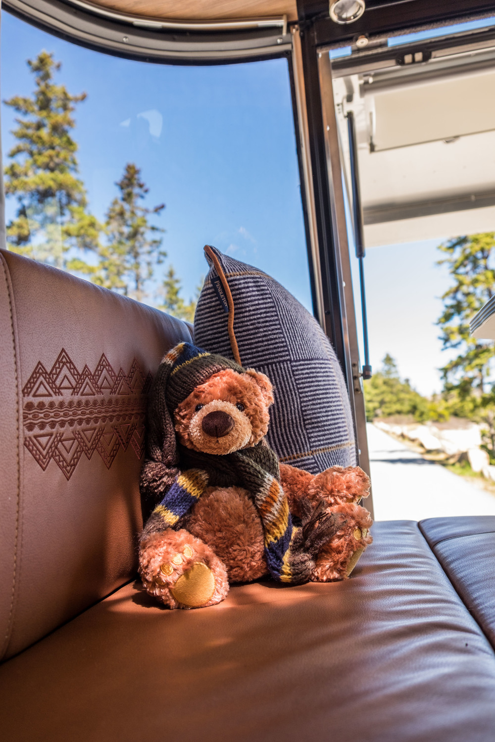  Coyote Butte Lucky Bear hangs out in the Pendleton Airstream in Maine. 