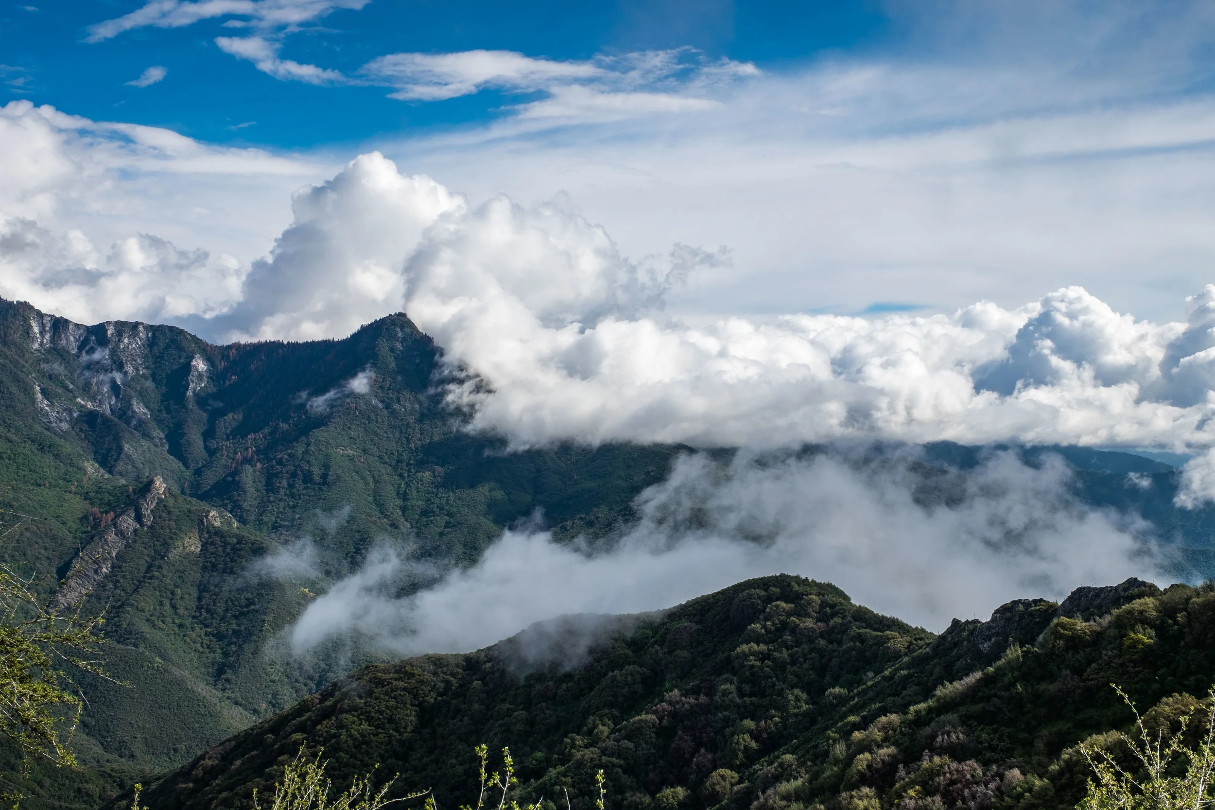 View from atop Moro Rock.