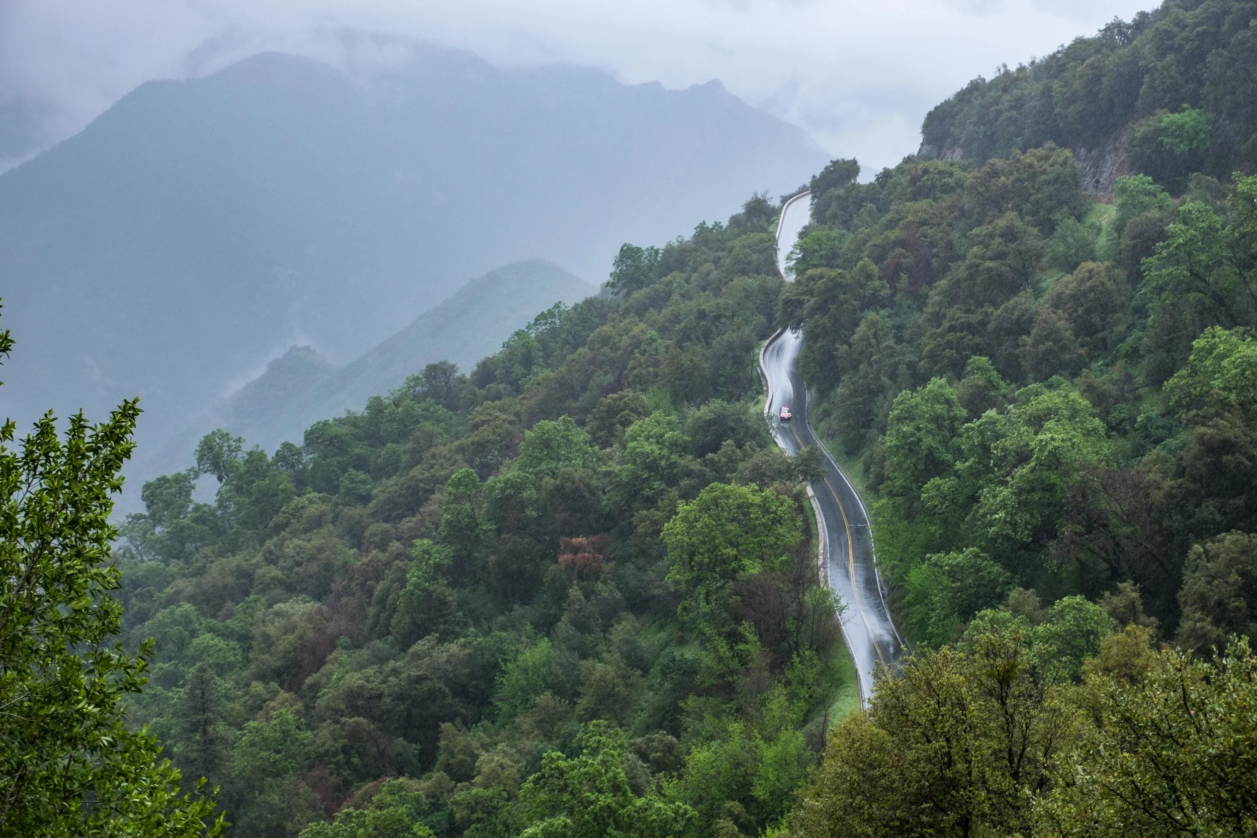 If you love winding mountain roads, both Sequoia and Kings Canyon are parks to add to your roster. 