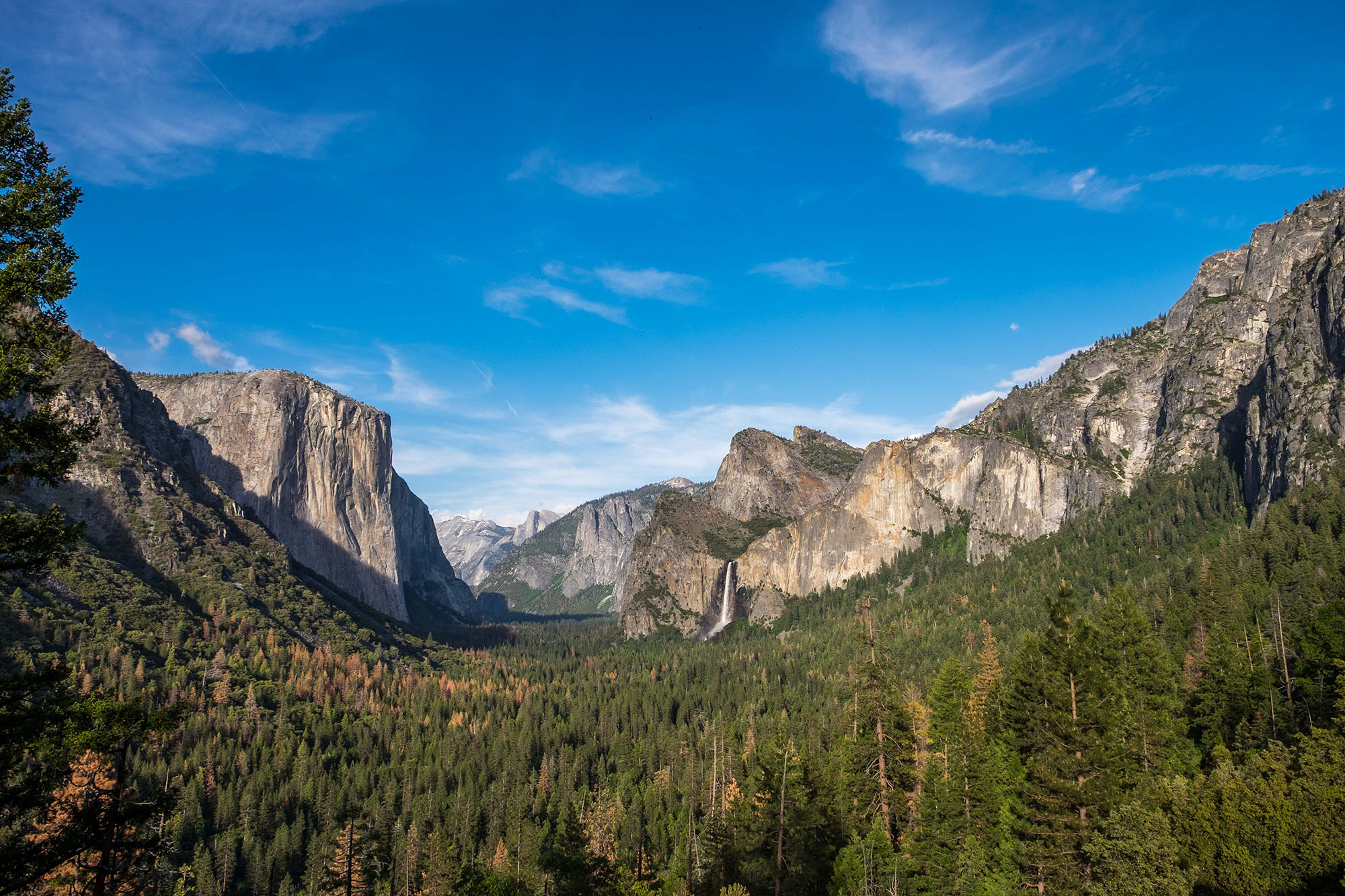 Perfection at Tunnel View.