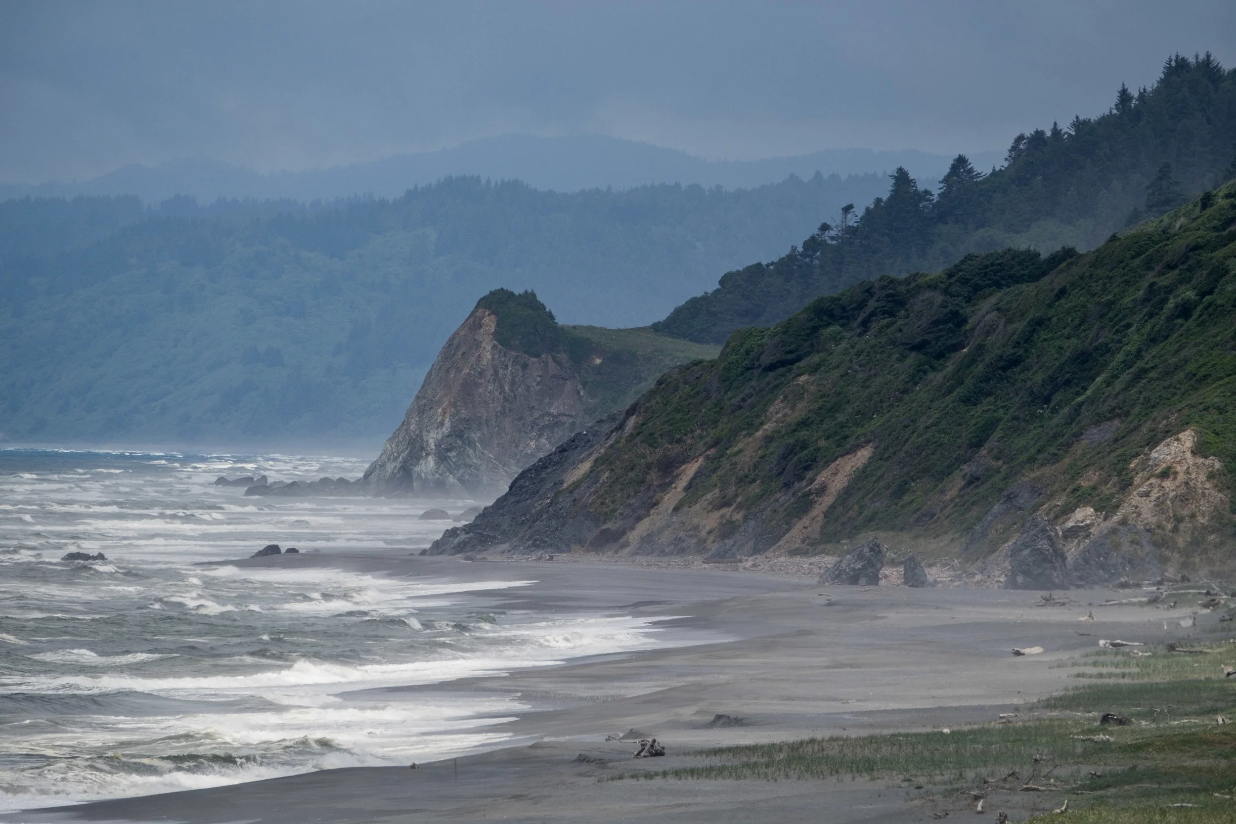 The California coast in Redwood National and State Parks.