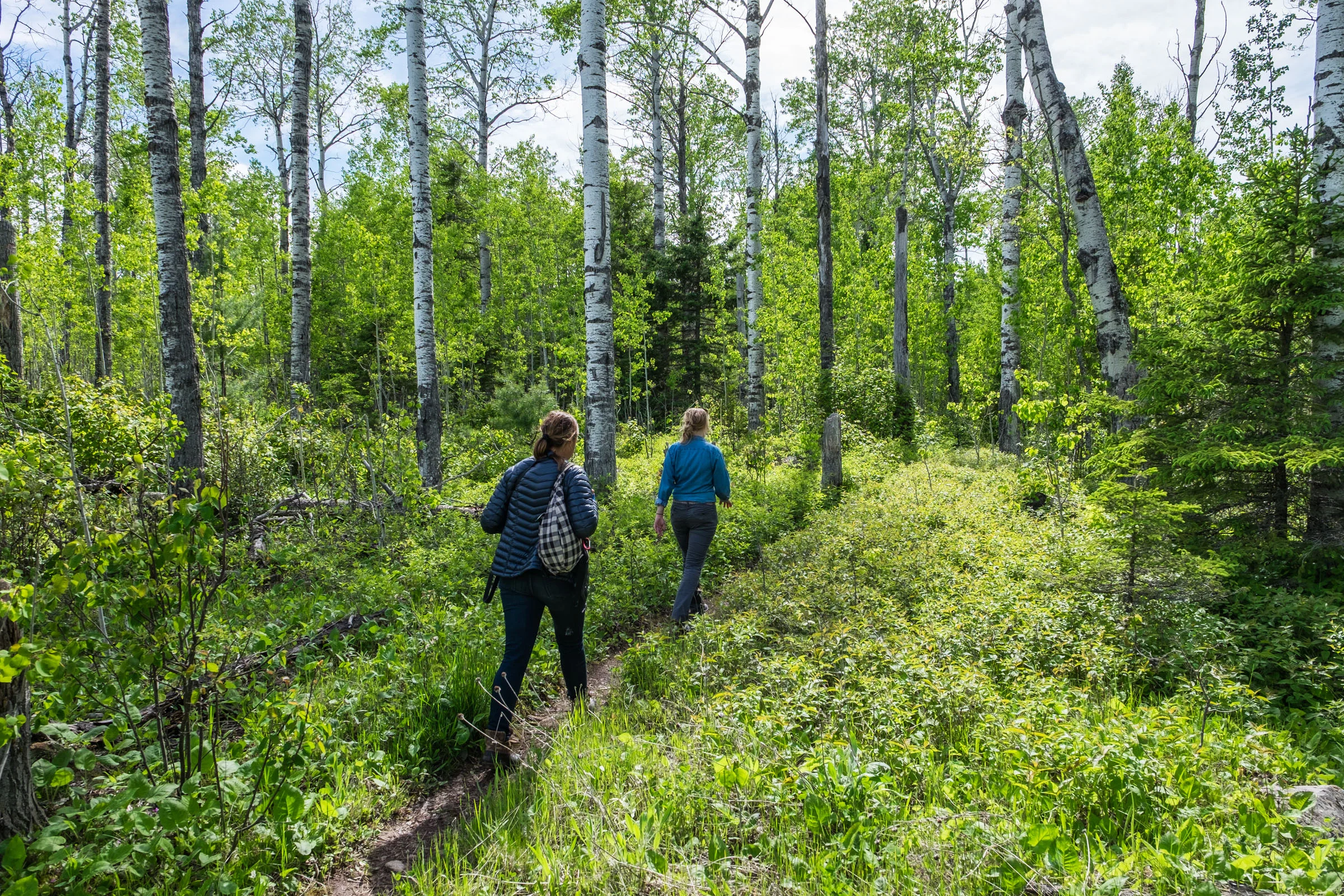 Marina Alexander leads Stefanie Payne into the wilds of Isle Royale, Marina's second home -- she knows of the places that just cannot be found by anyone but a local!