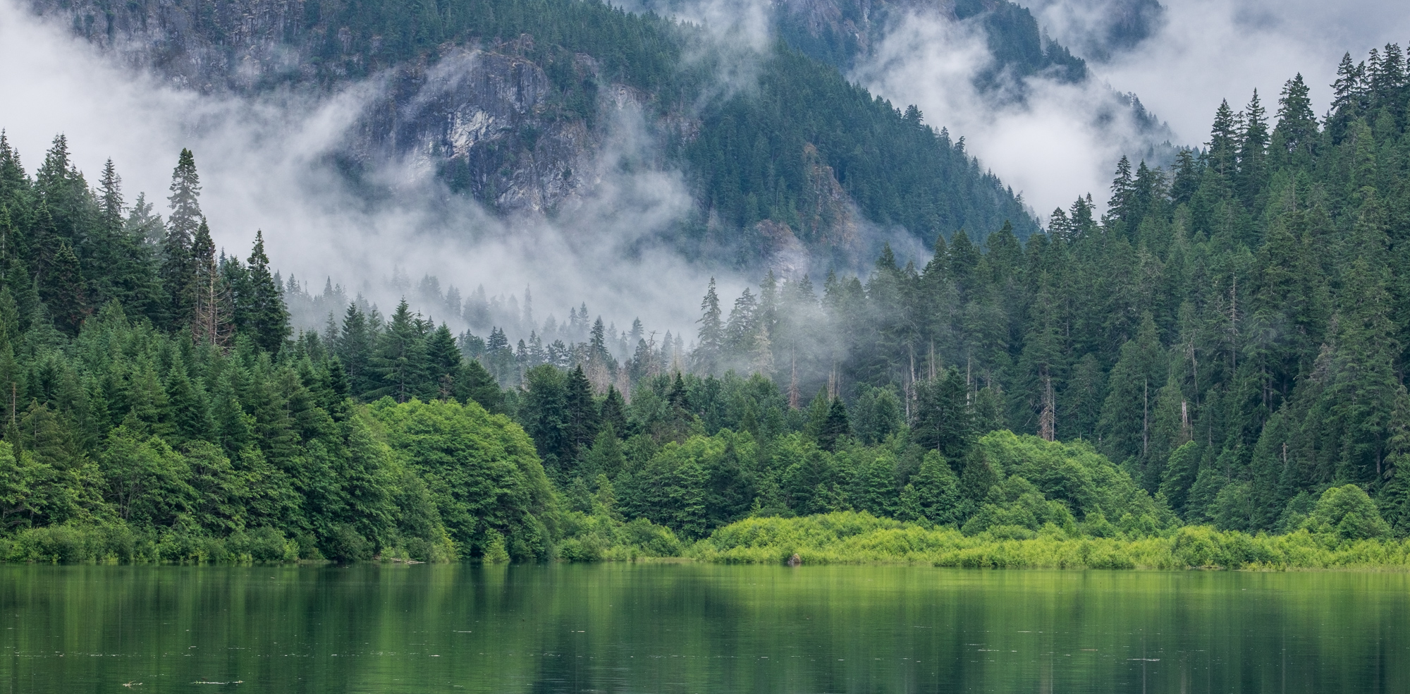 Every shade of immaculate green can be found in the North Cascades — it's a never ending deep breath of the cleanest, greenest air!