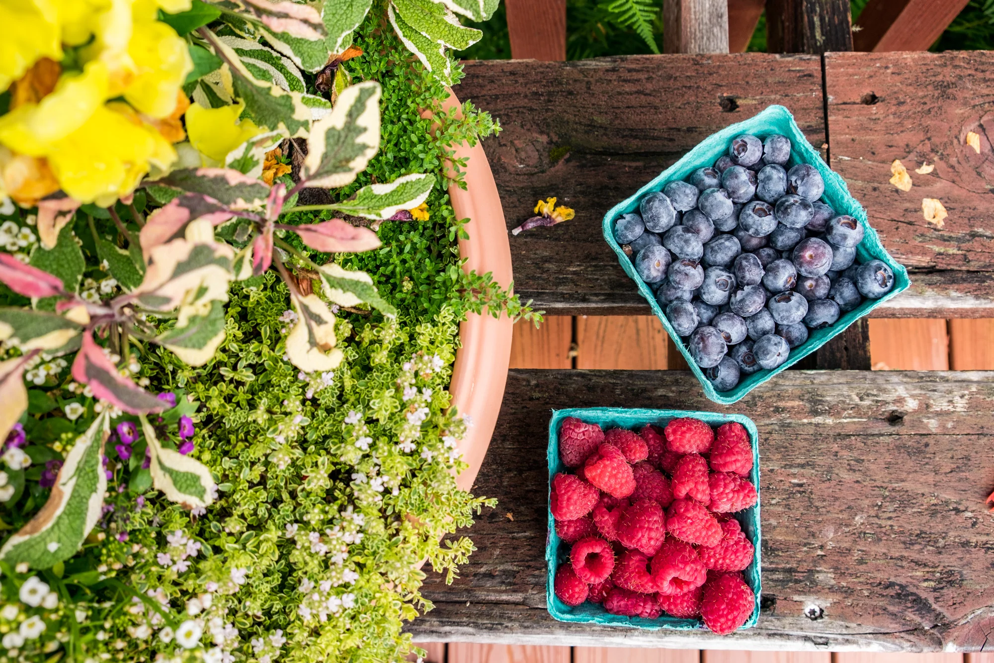 Farm fresh fruit found at Cascadian Farms...Washington State prides itself on incredible local foods, as it should, making it one of the great foodie states in America.