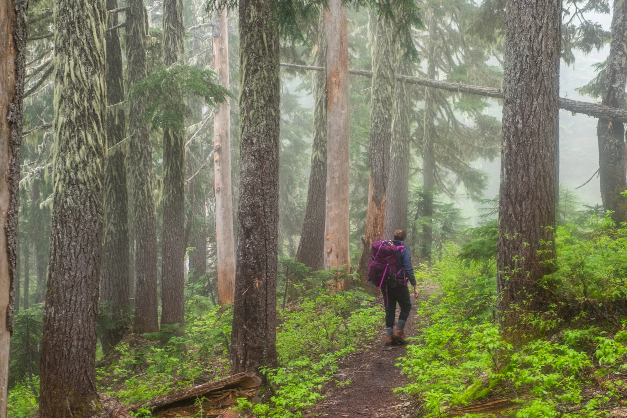 Hitting the monster trail to Thornton Lake to camp out in solitude. 