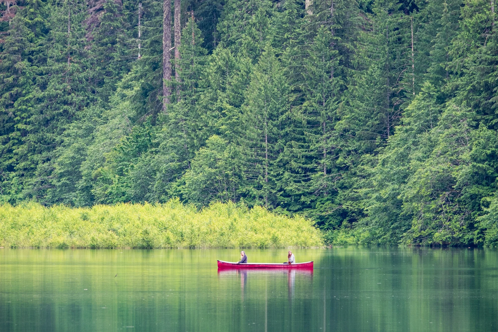 A perfect place to pick up a paddle and go for a float!