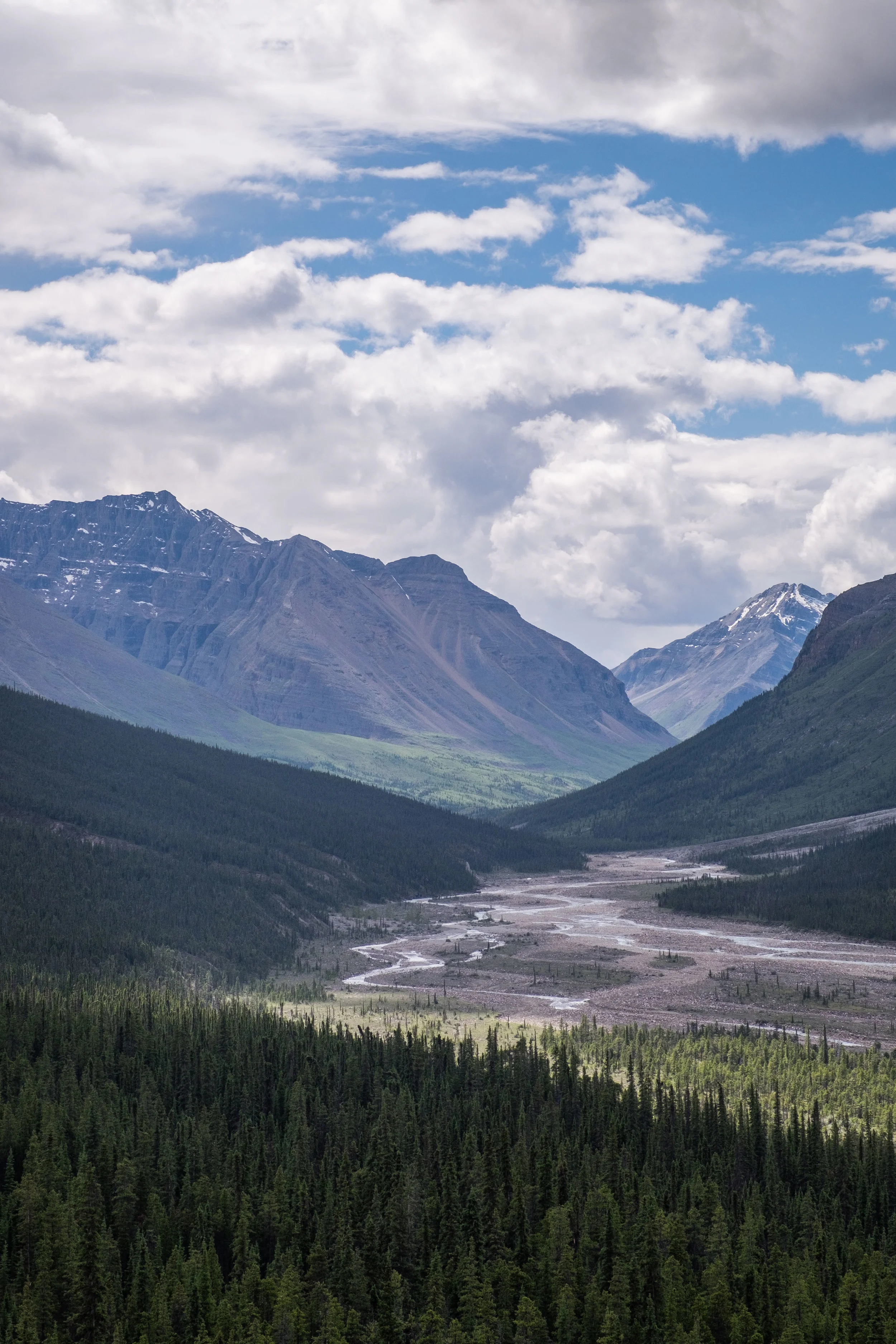 Rugged beauty aligns the entire path along the Alaska Highway. 