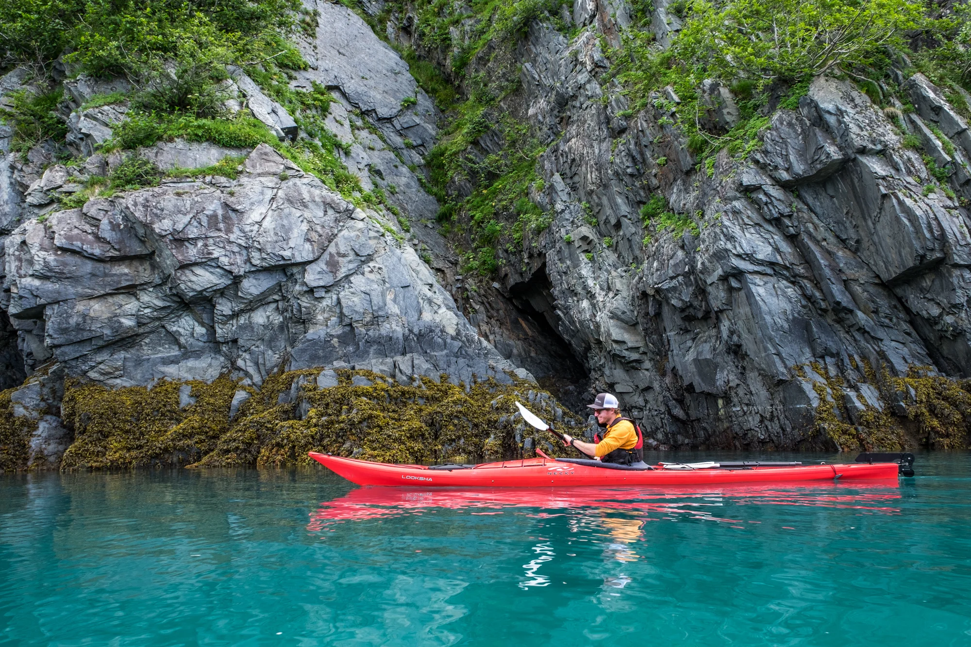Josh, our "I'll teach you about geology, marine biology, and also glaciers" guide, in Aialik Bay. 