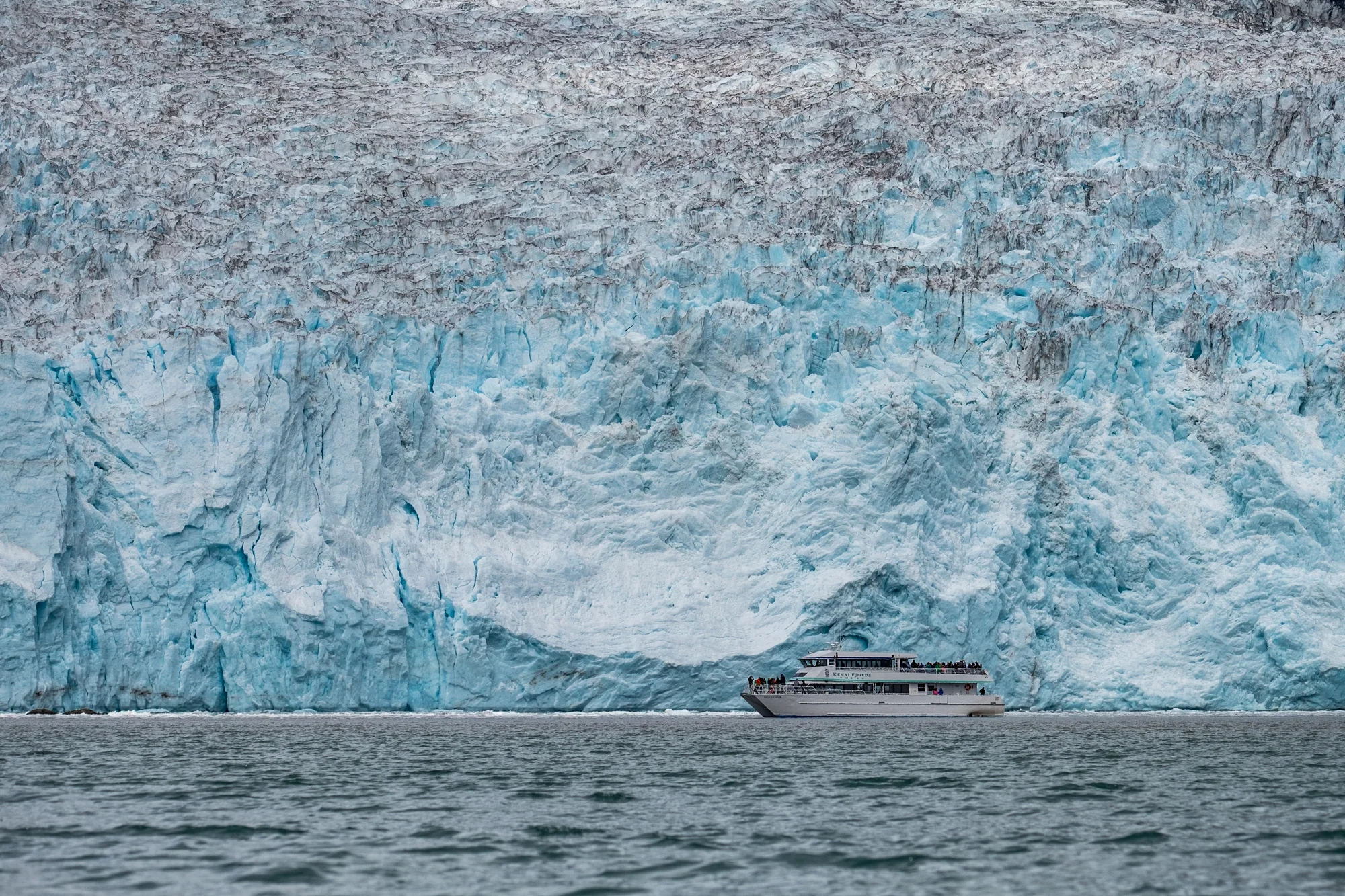 One of the coolest things to see near the Aialik Glacier is the perspective of size and scale that a large tour ship lends as it glides right aside the massive ice face. 