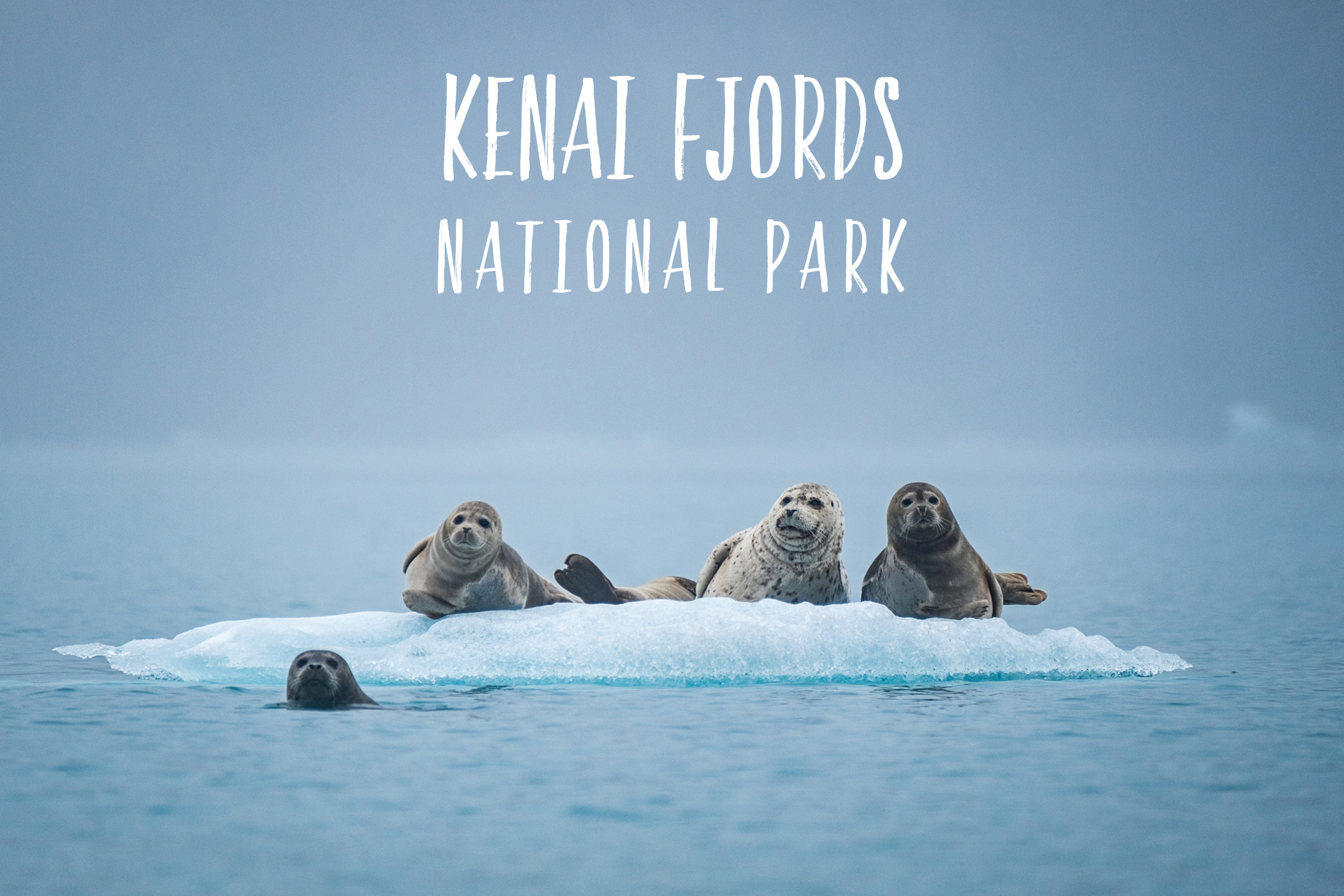 Park 31/59: Kenai Fjords National Park in Alaska