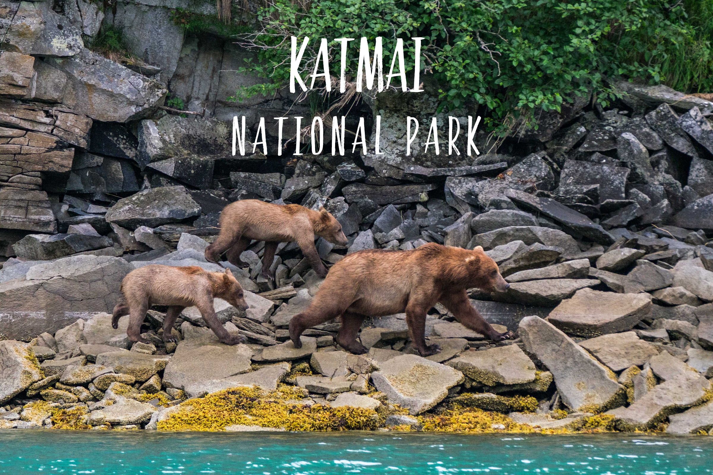 Park 32/59: Katmai National Park in Alaska