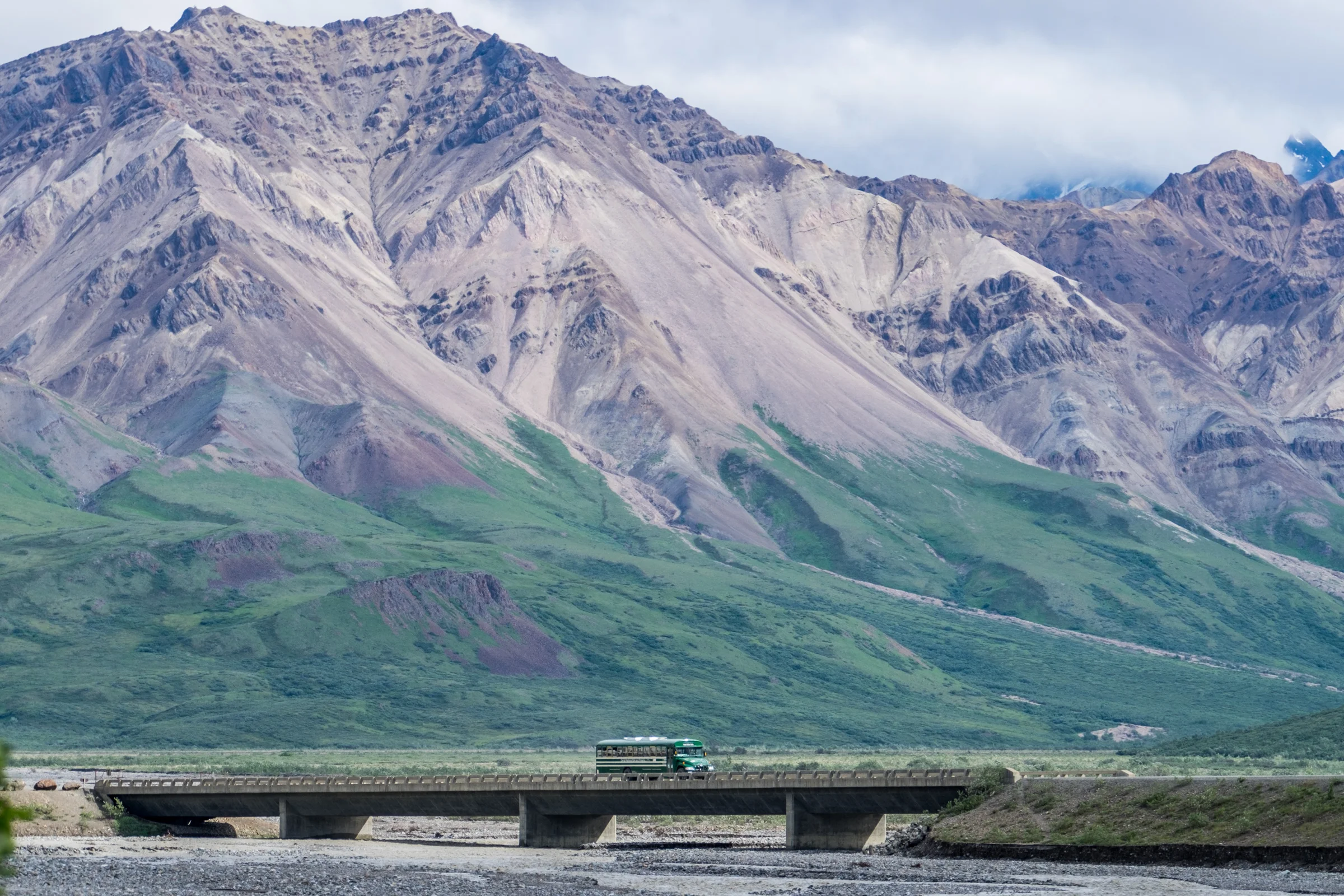 A concessioner-operated tour bus on Denali Park Road, the only road in the park, stretching 92 miles.