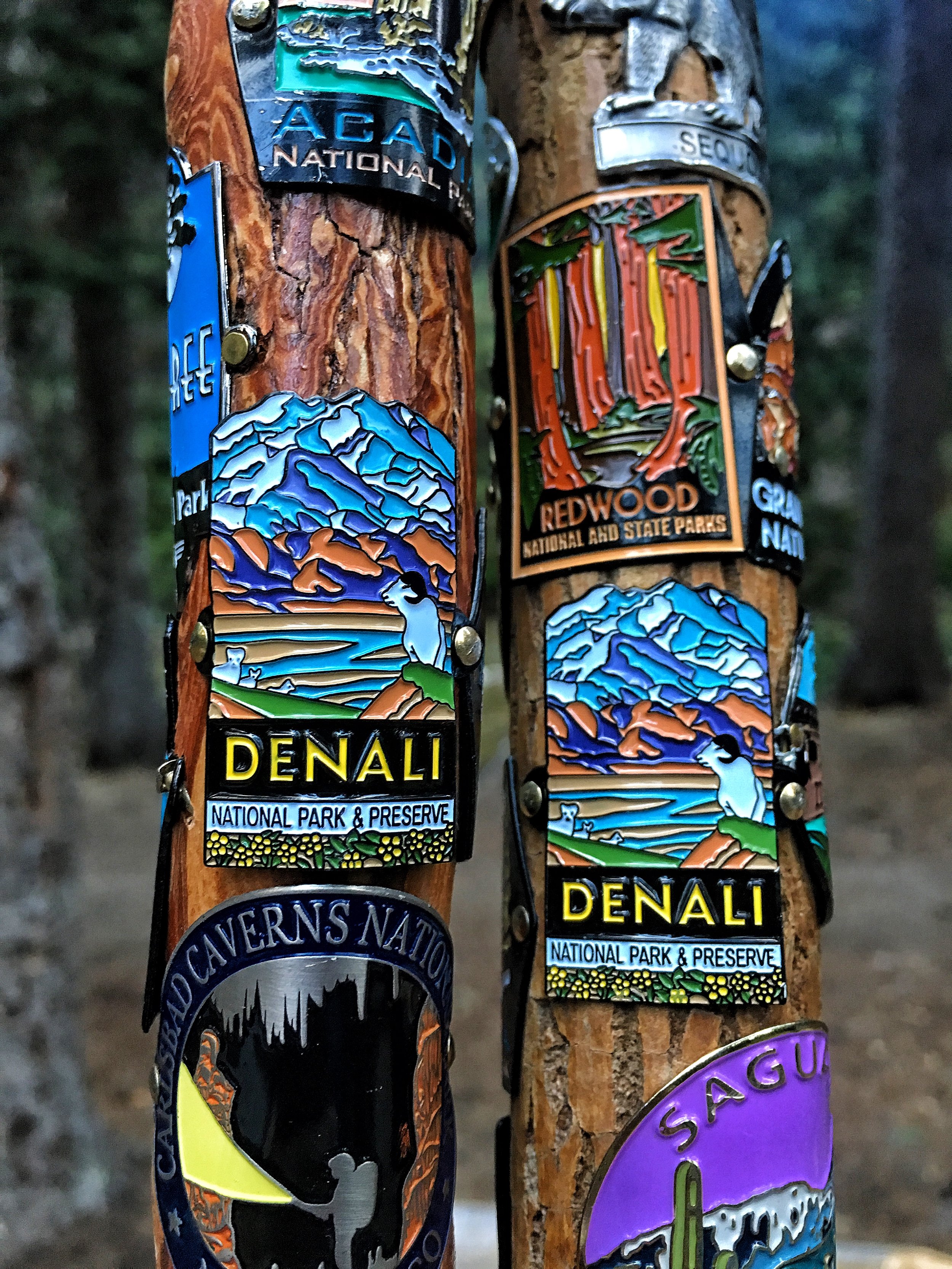  Hiking stick medallions from Denali National Park in the great state of Alaska! 