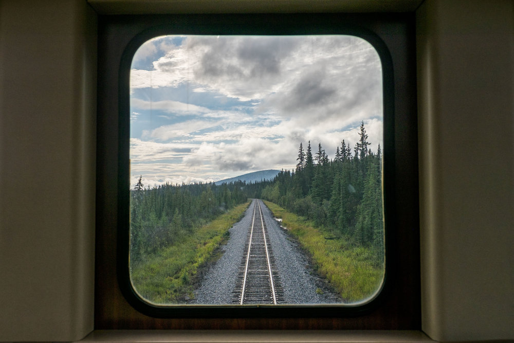  View from the back deck of the Wilderness Express.&nbsp; 