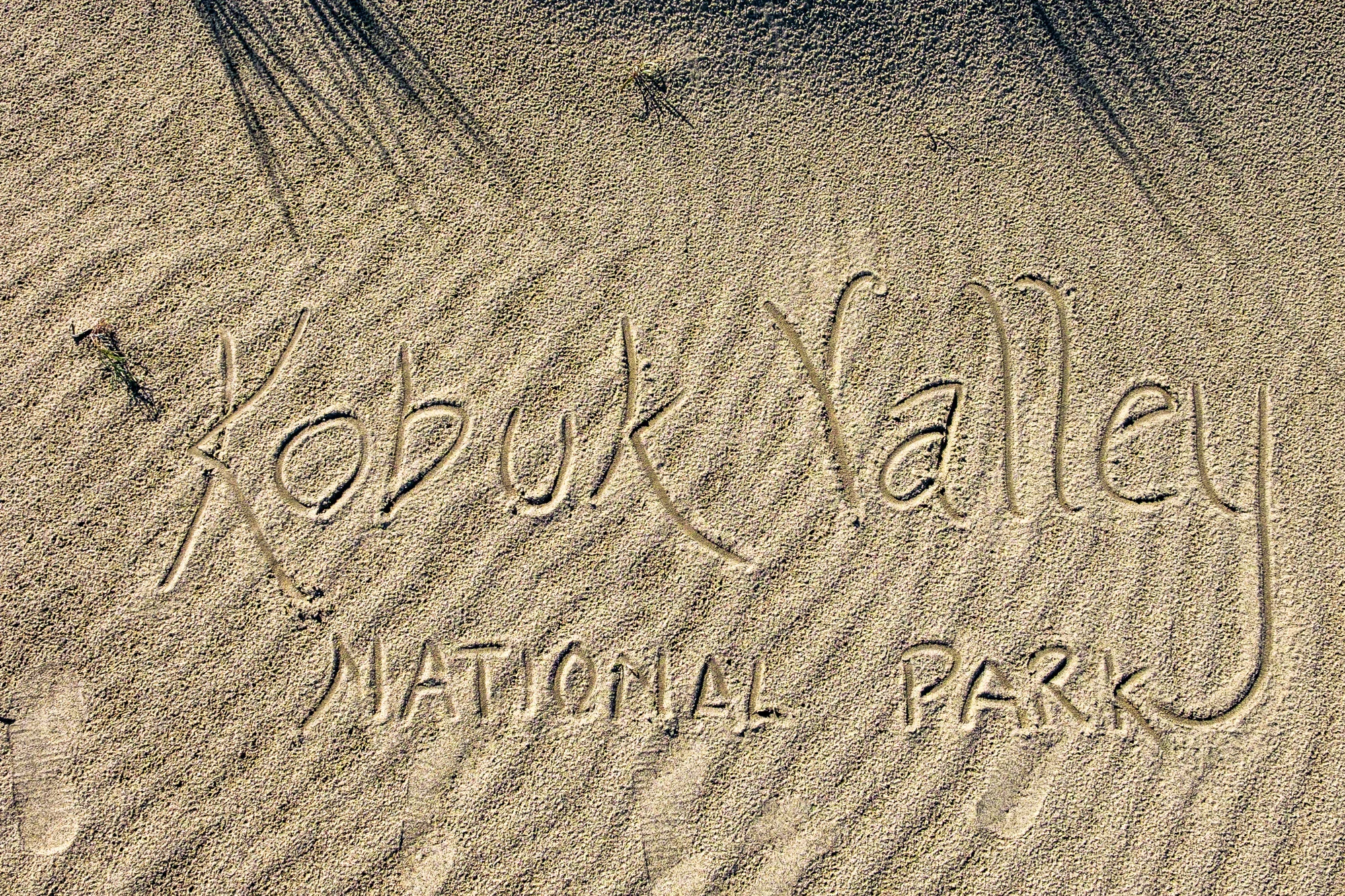 There are no hiking stick medallions from Kobuk, but their are other ways to be creative! Signing off in the Arctic dunes.