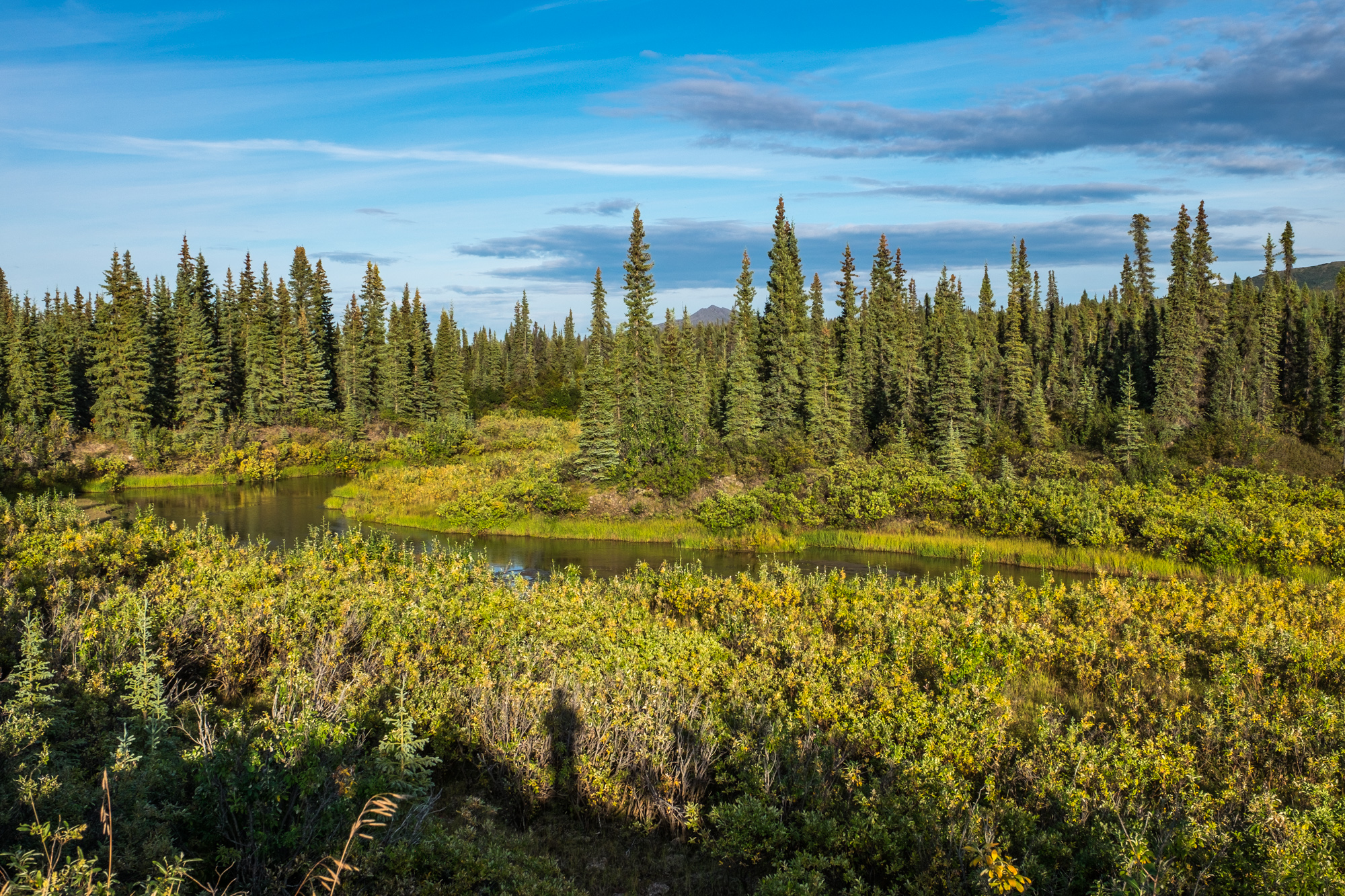 Kobuk is an ancient wilderness. 
