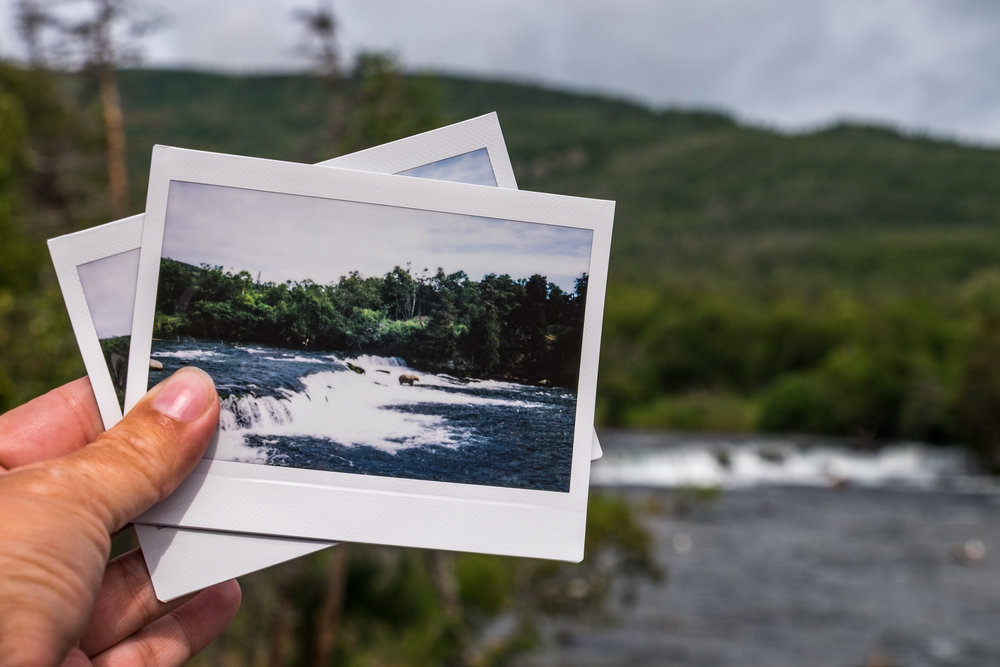 20160720-SP-Katmai National Park-_DSF5926.jpg