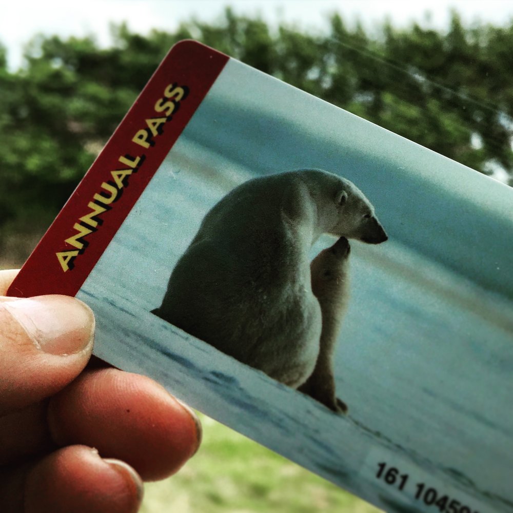  Couldn't do this year without it! The annual National Park Service membership pass. Hit four parks and the value already makes up for the $80 price tag.&nbsp; 