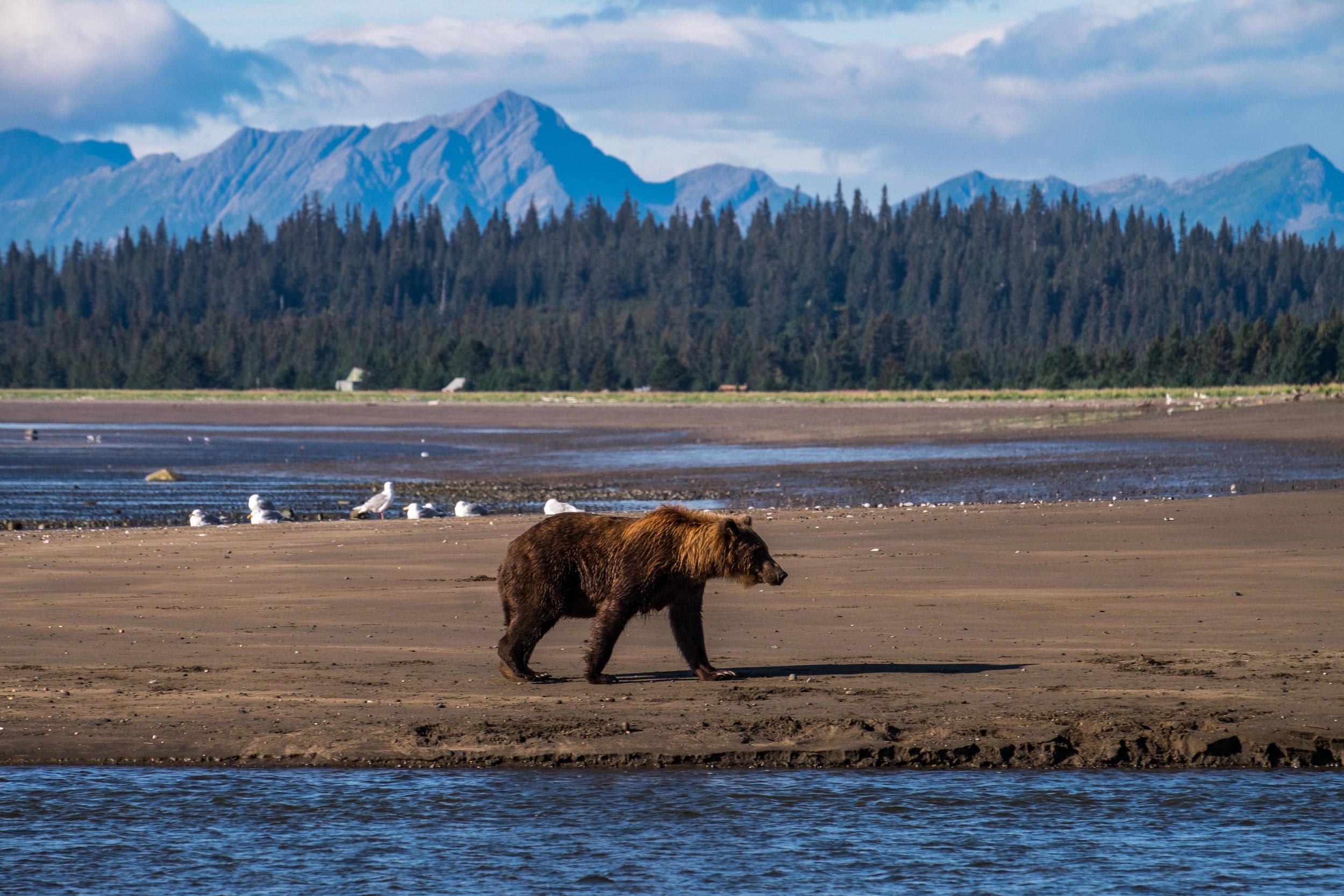 Alaska Lake Clark – Lake Clark National Park – GJDJU