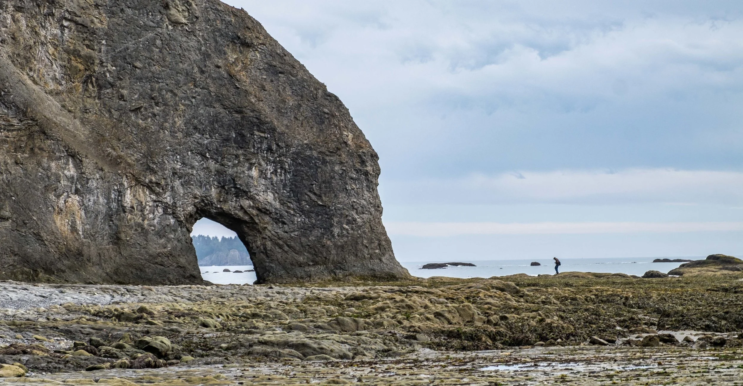 Tidepooling at Mora's Hole in Olympic National Park in Washington State.