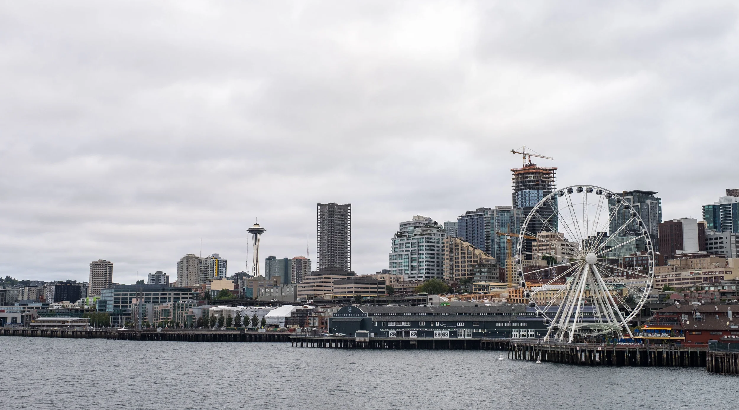 You can get to Olympic National Park without taking a ferry, but don't miss this classic Seattle experince! Just head to Pier 56 and cross the Puget Sound to where you can start a gorgeous drive along the Olympic Peninsula to the park. 