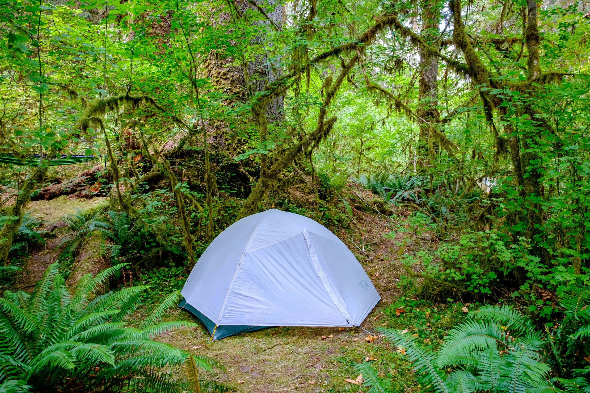 All set up to camp in the Hoh Rainforest — an enchanting place to hang your rain hat. 