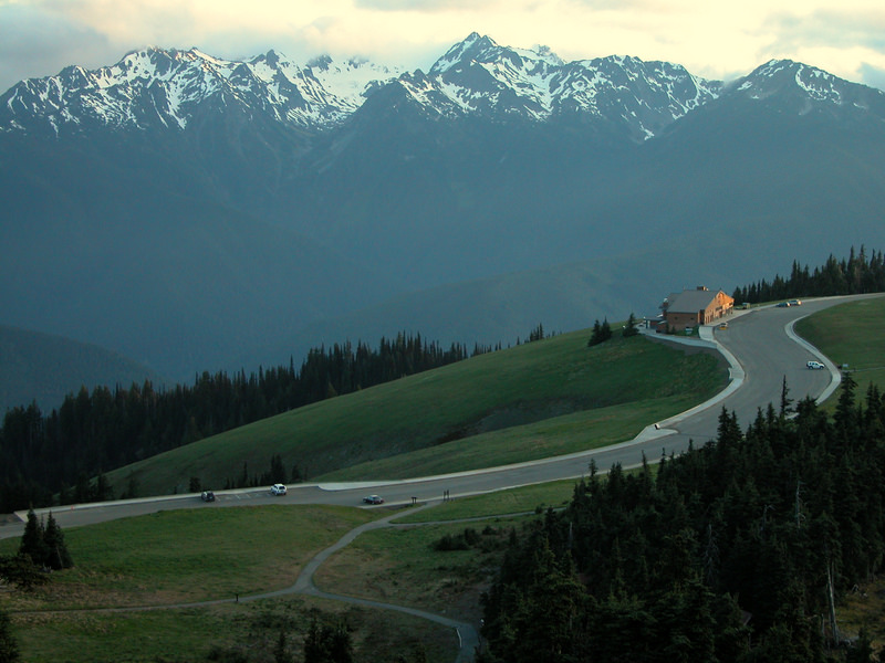 Weather eclipsed our photography at Hurricane Ridge this year so unfortunately, we have no photos of our own to illustrate the beautiful mountain-scape—so we share this instead, a wonderful shot of the Hurricane Ridge Visitor Center captured by the National Park Service.