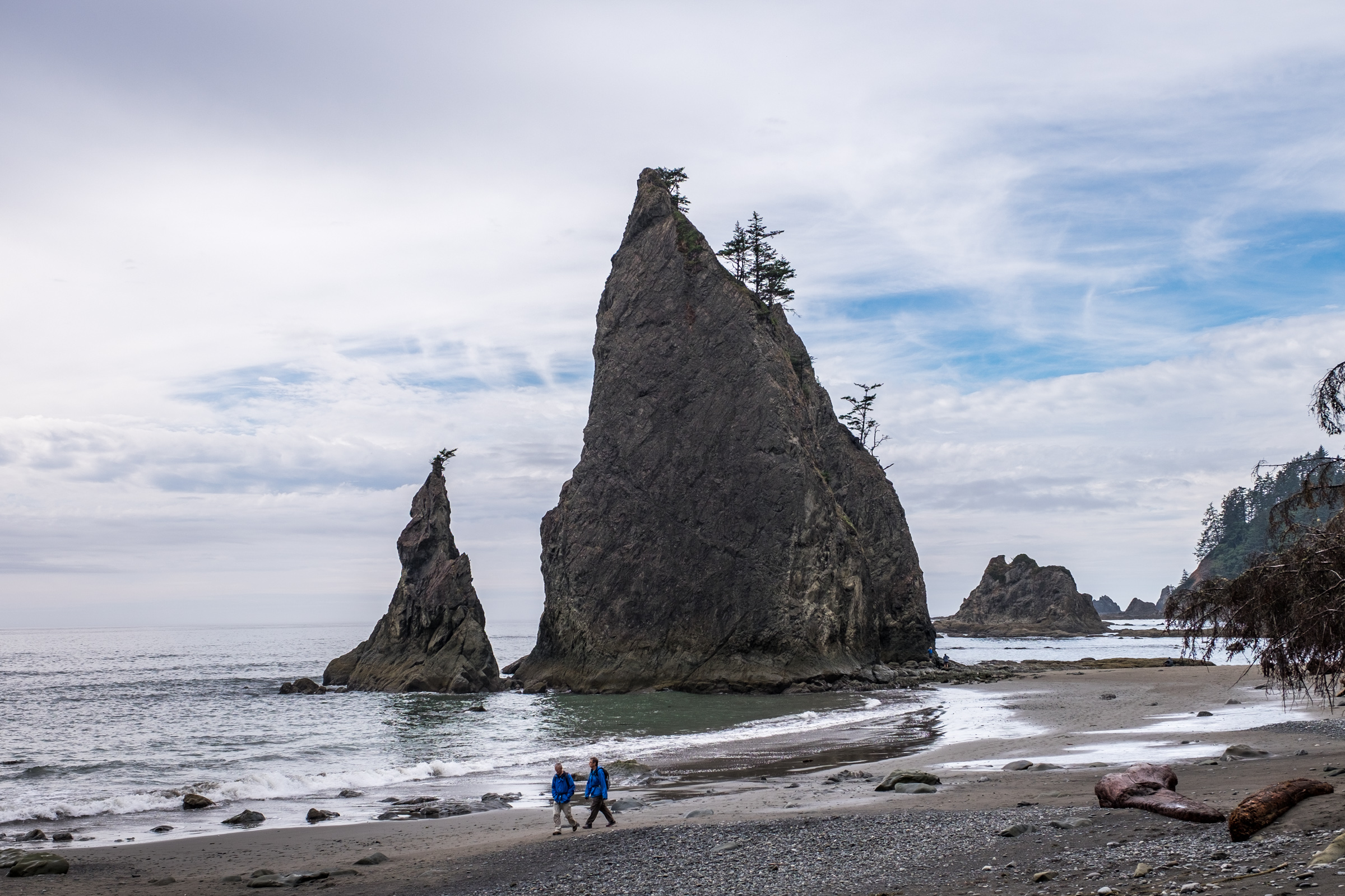 Situated on the coast. Трейлы Olympic National Park. Olympic National Park. Rangarnir Sea Stacks. Sea Stack.