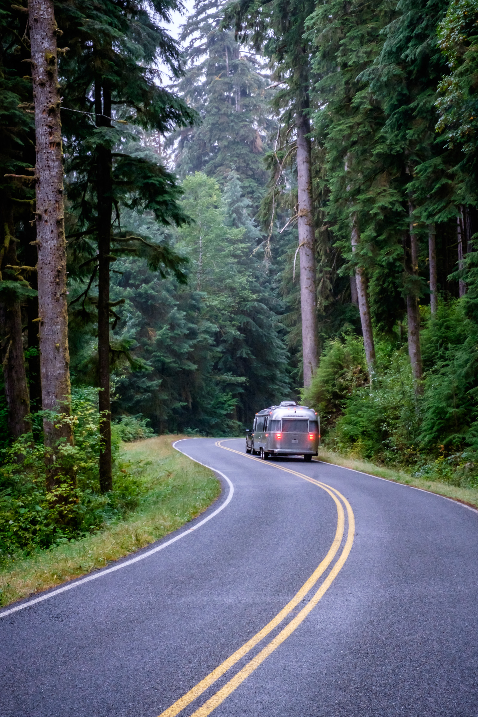 After 8 weeks in Alaska, we were thrilled to return with Wally the Airstream to the lower 48 where roads are more accessible! Happily making way through the rainforest in Olympic National Park in Washington.