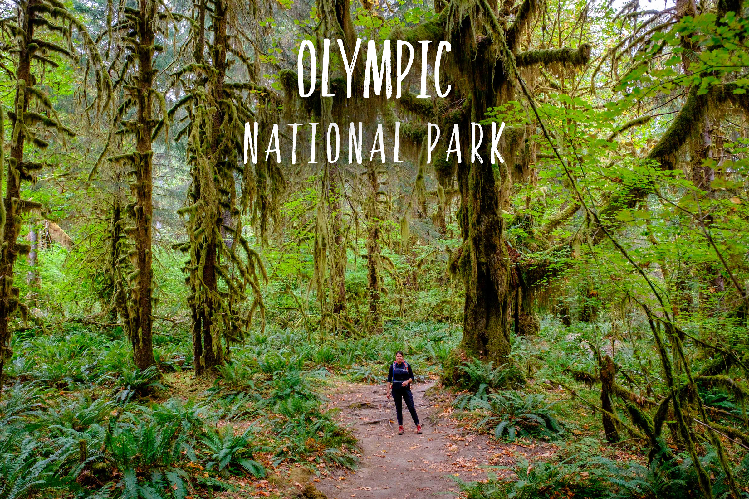 Park 38/59: Olympic National Park in Washington state