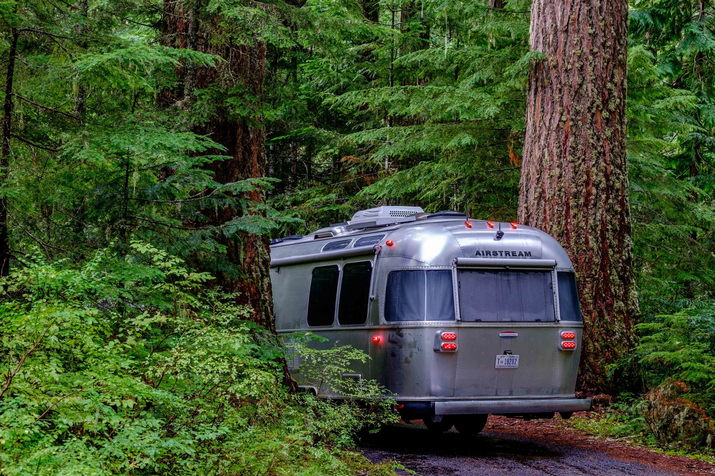 Wally the Airstream found camping bliss at the Cougar Rock Campground in the Paradise section of Rainier. 