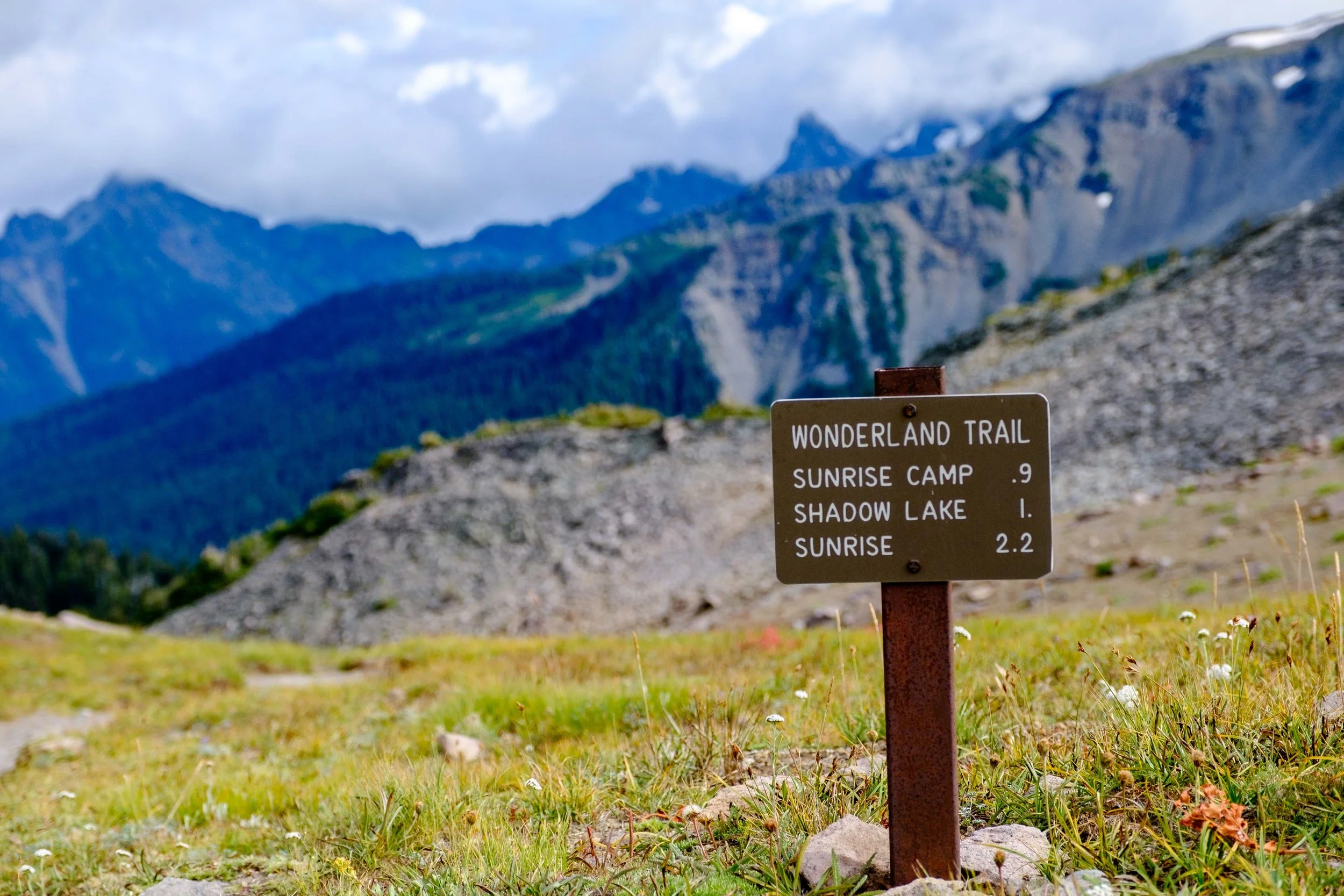 The Wonderland Trail circumnavigates the high alpine areas beneath Mount Rainier's summit. Trailheads to other trail networks intersect throughout the park as can be seen in the sub-alpine area of Sunrise.
