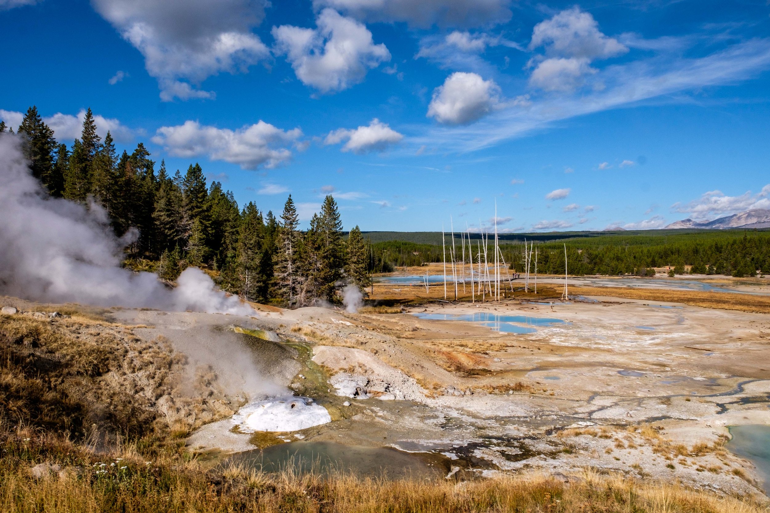 Yellowstone National Park, Montana/Idaho/Wyoming, USA Park 41/59.