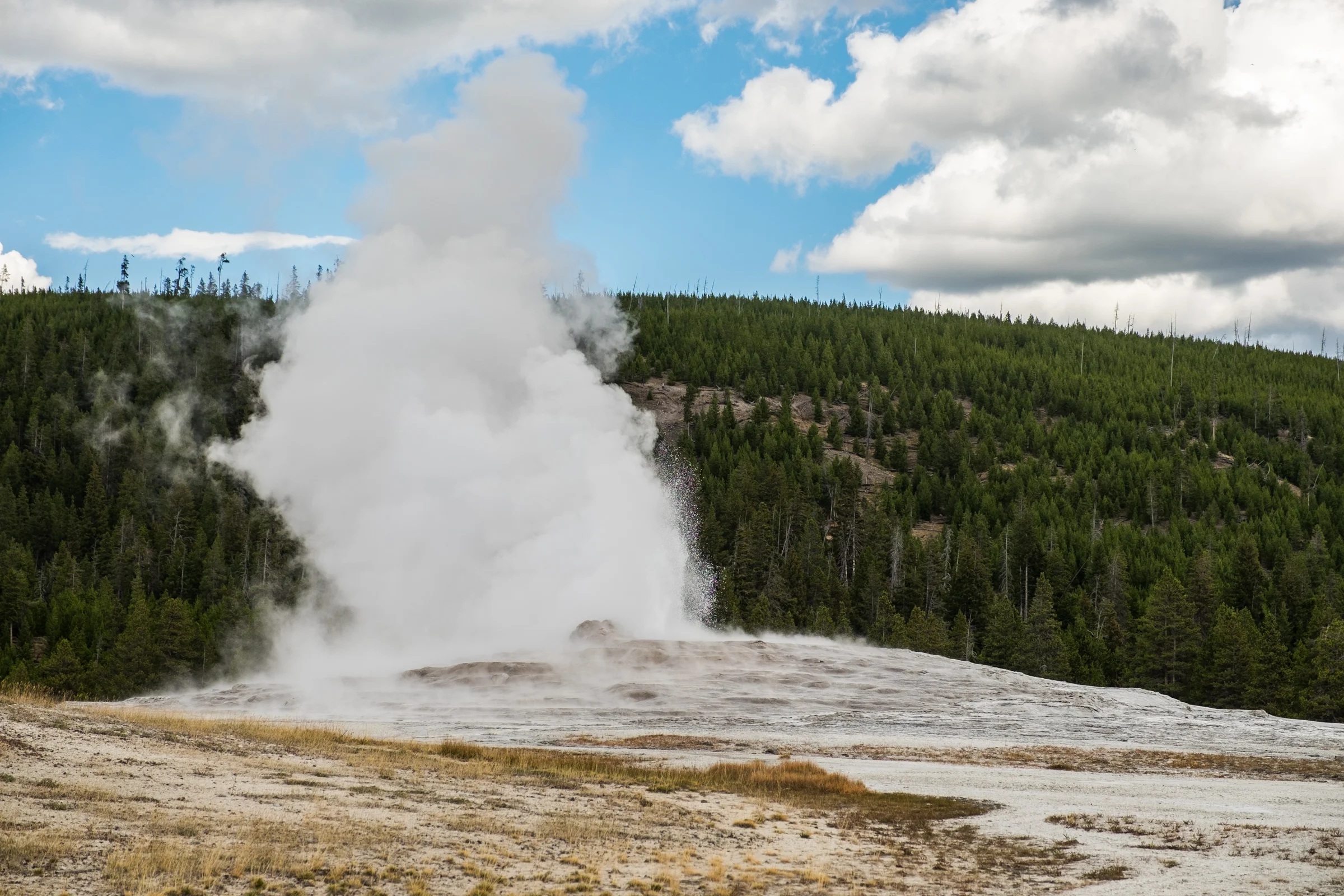 The famed Old Faithful geyser erupting right on time next to the Old Faithful Lodge. 