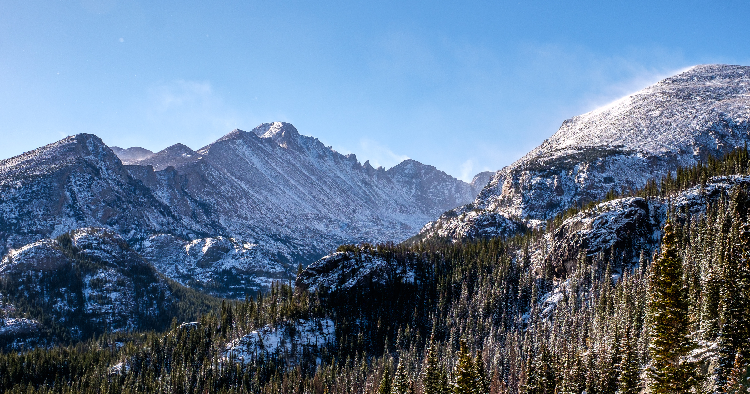 In the sub-alpine region... 