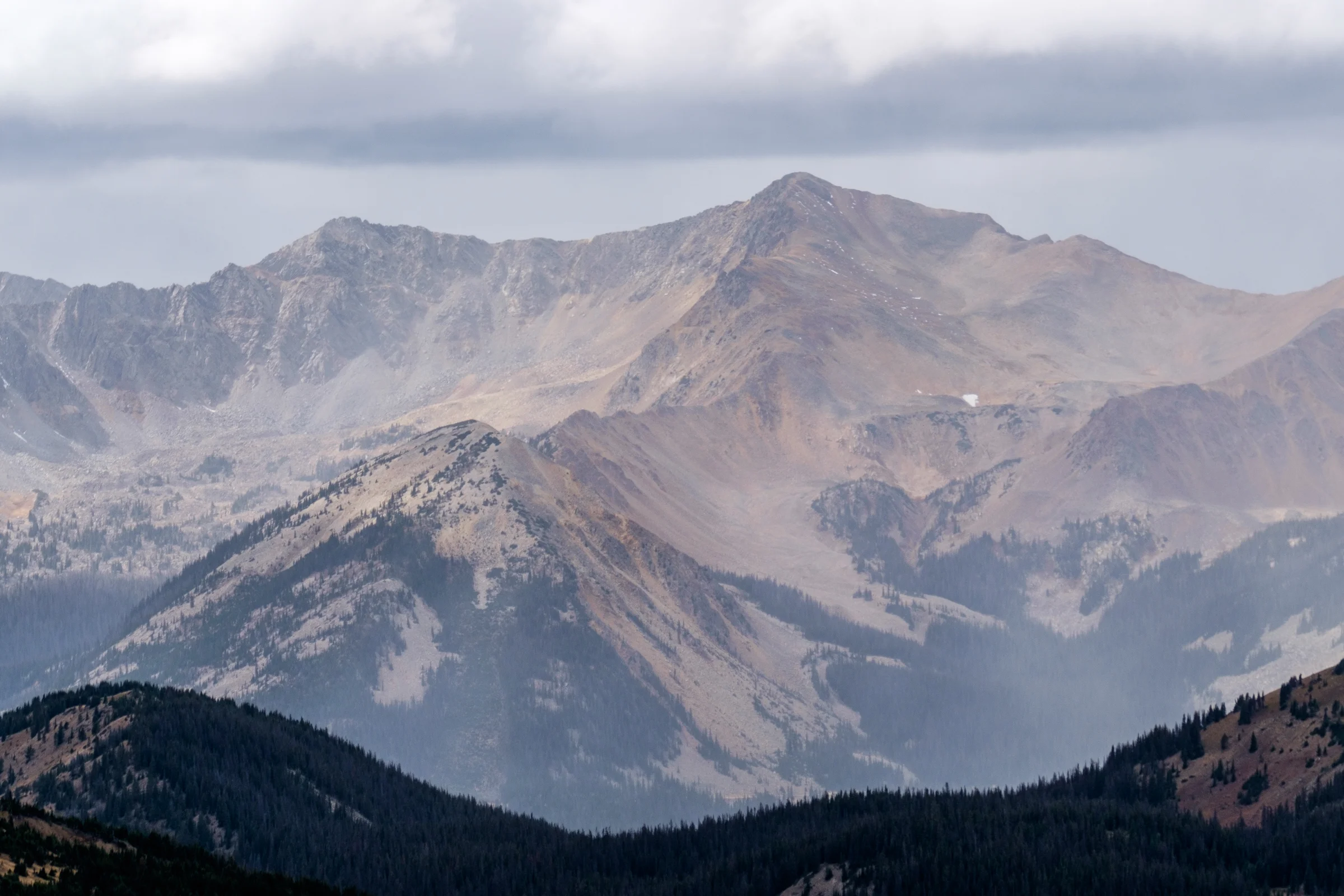 From the alpine tundra...