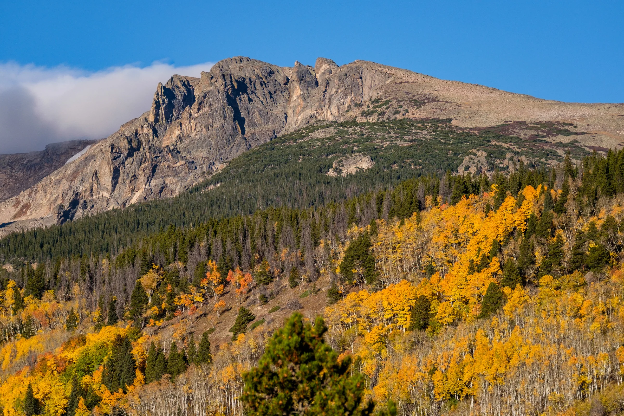 Look no further than Rocky Mountain National Park for some of the most lovely fall foliage in America. 