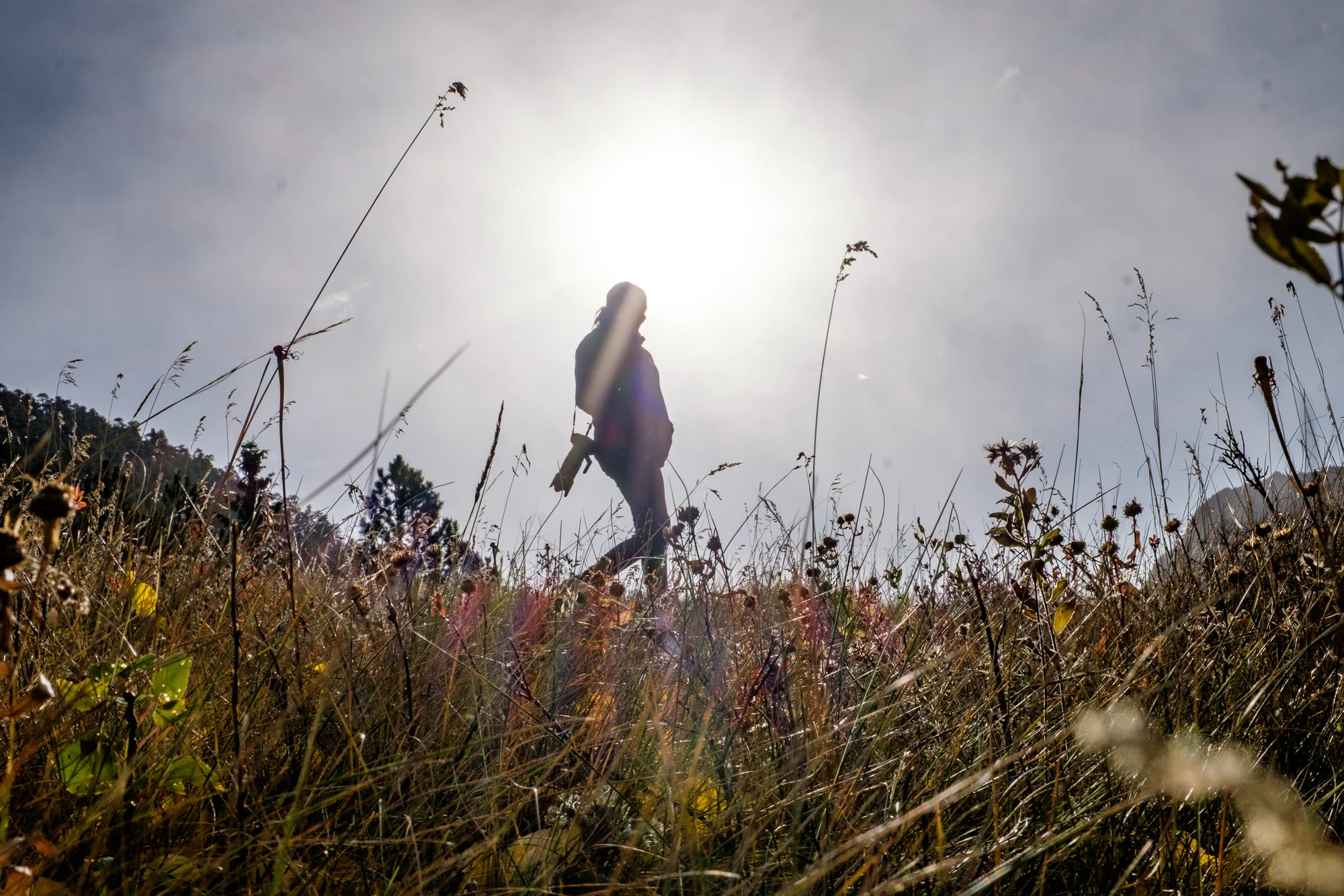 Wandering through the delicate grasslands in Rocky Mountain National Park in fall, 2016. 