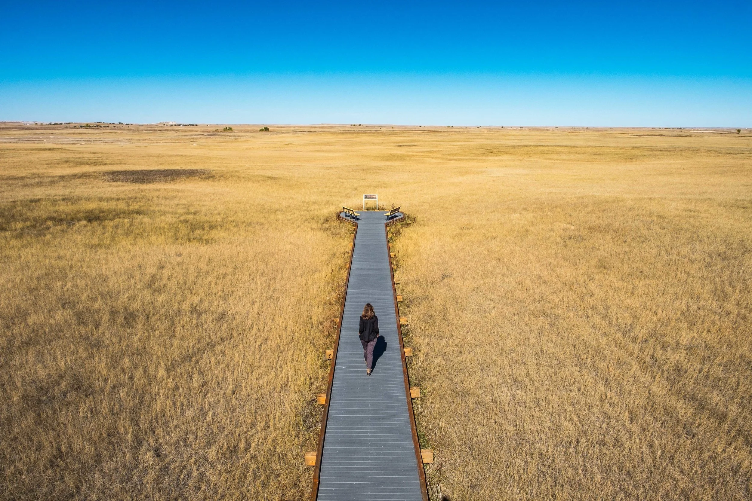 Prairie grasslands may seem like vast empty space but there is a busy world at work down there! 