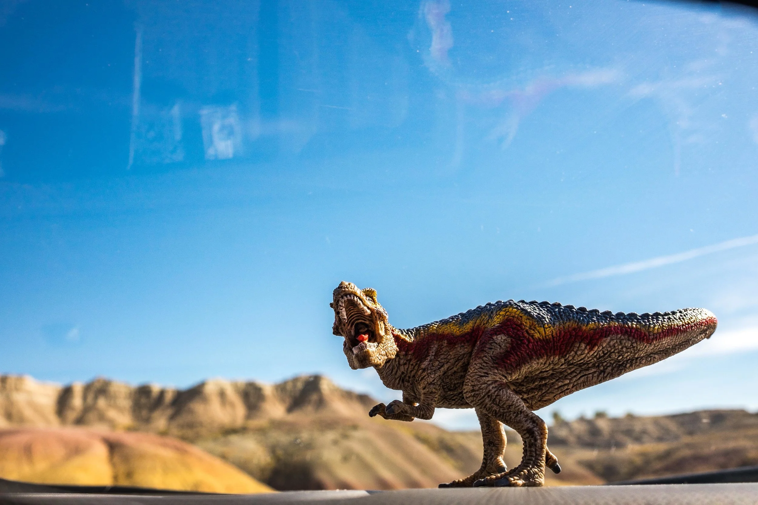 Our dashboard dino ready to go find fossils!