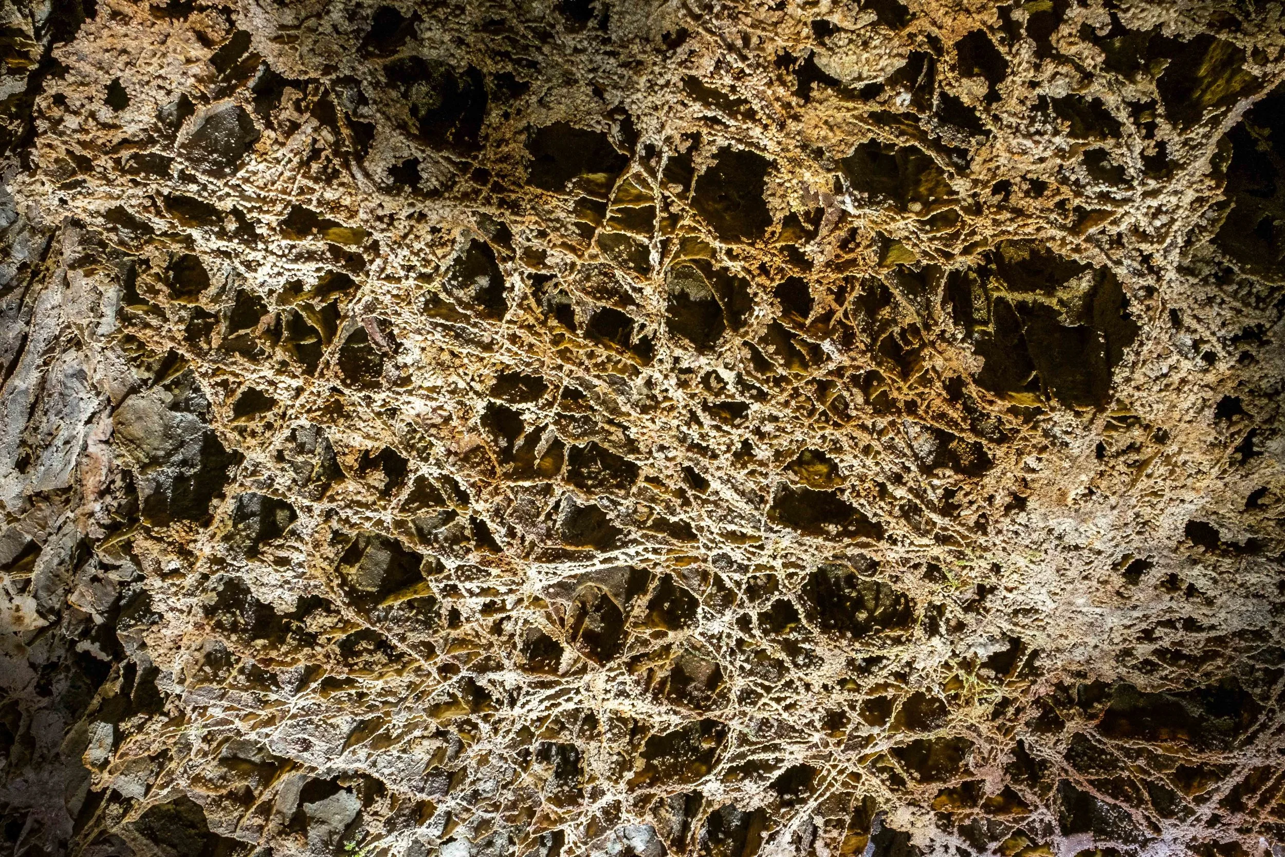 Wind Cave is home to 95% of the world's "boxwok" formations.