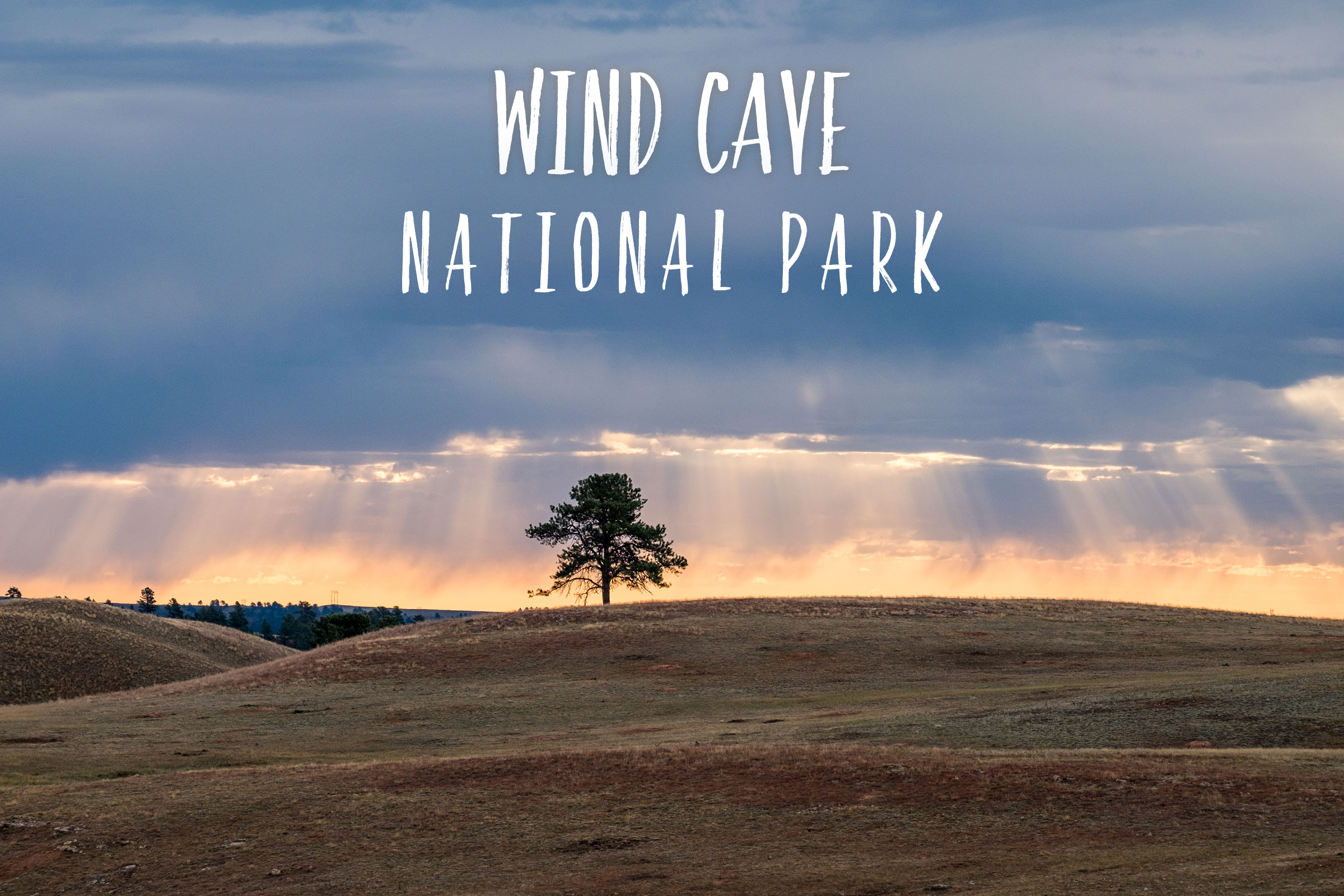 Park 45/59: Wind Cave National Park in South Dakota