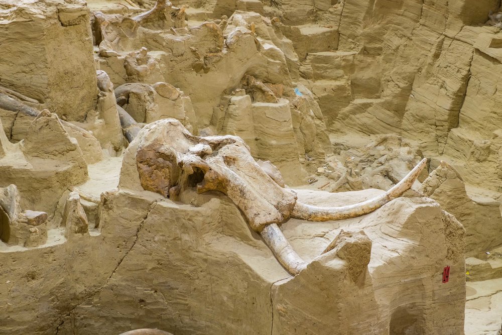 20161017-JI-Mammoth Site while at Wind Cave National Park-_DSF0852.jpg