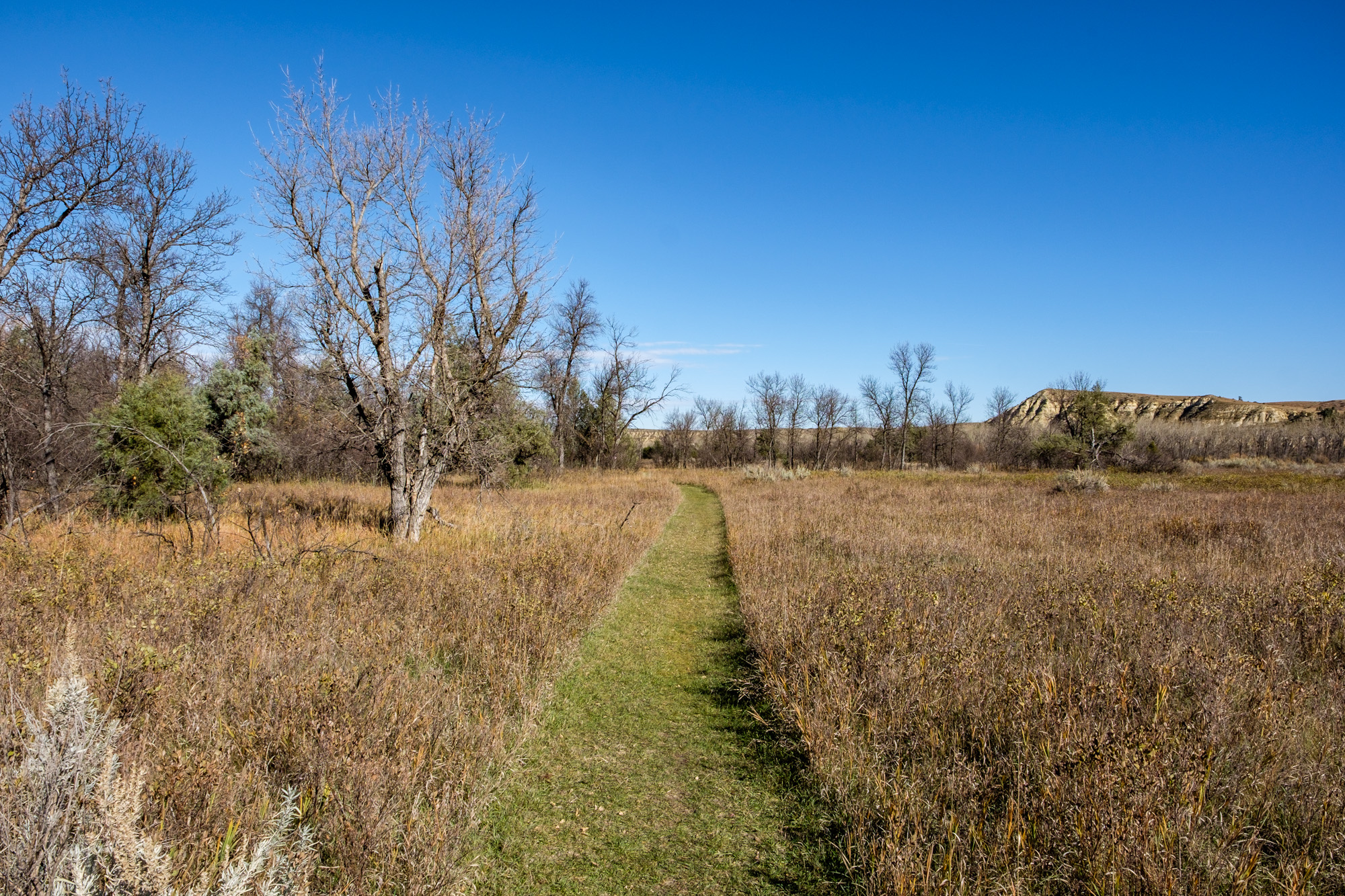 Pathway to where Elkhorn Ranch once stood in the west unit.