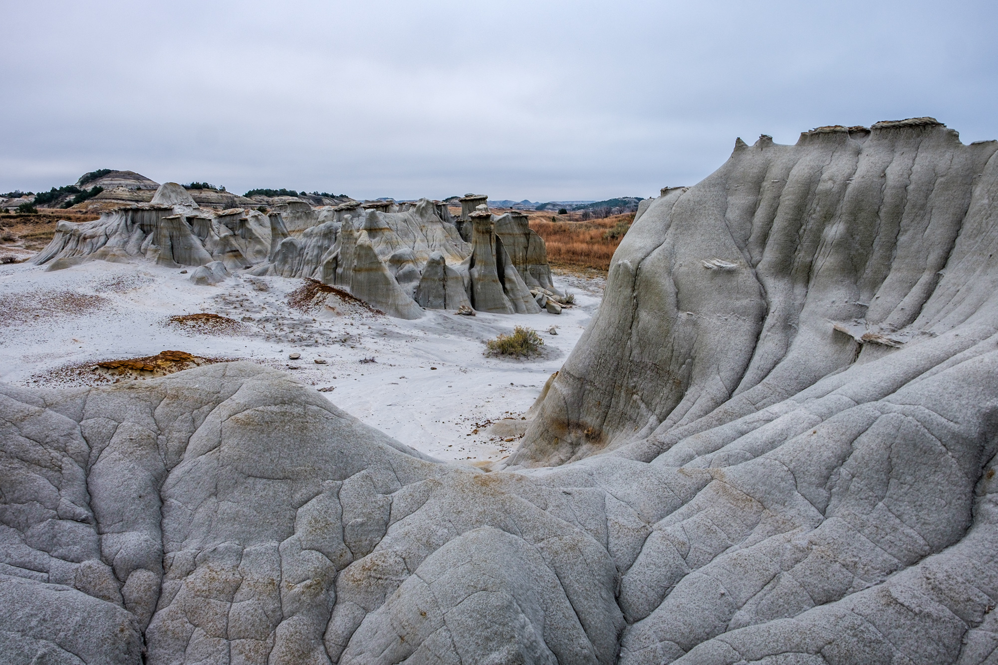 65-million year old badlands in the south unit. 