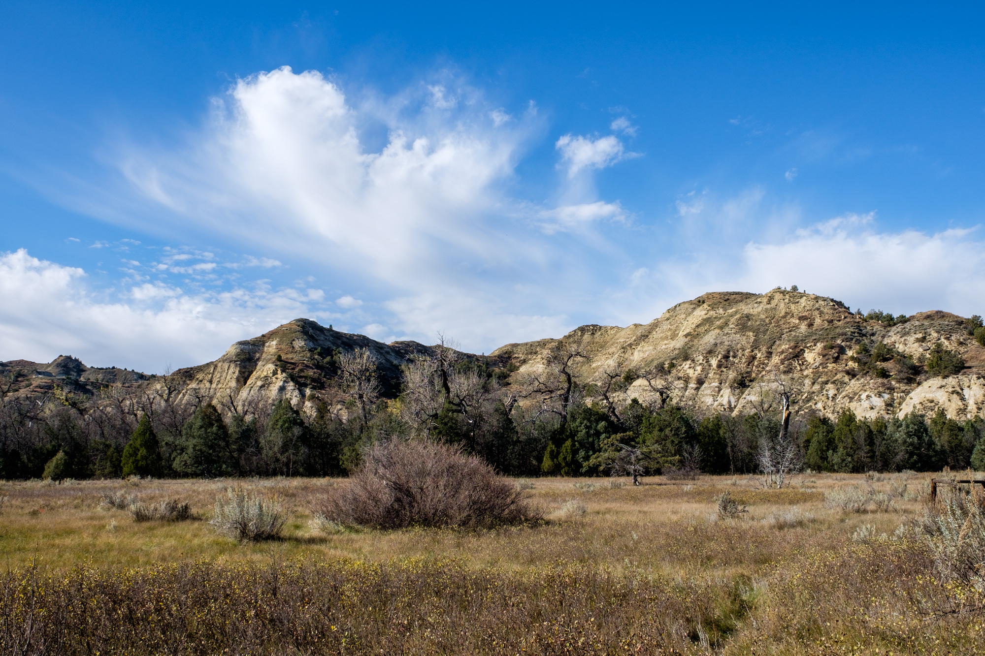 Teddy Roosevelt's backyard at Elkhorn Ranch. 